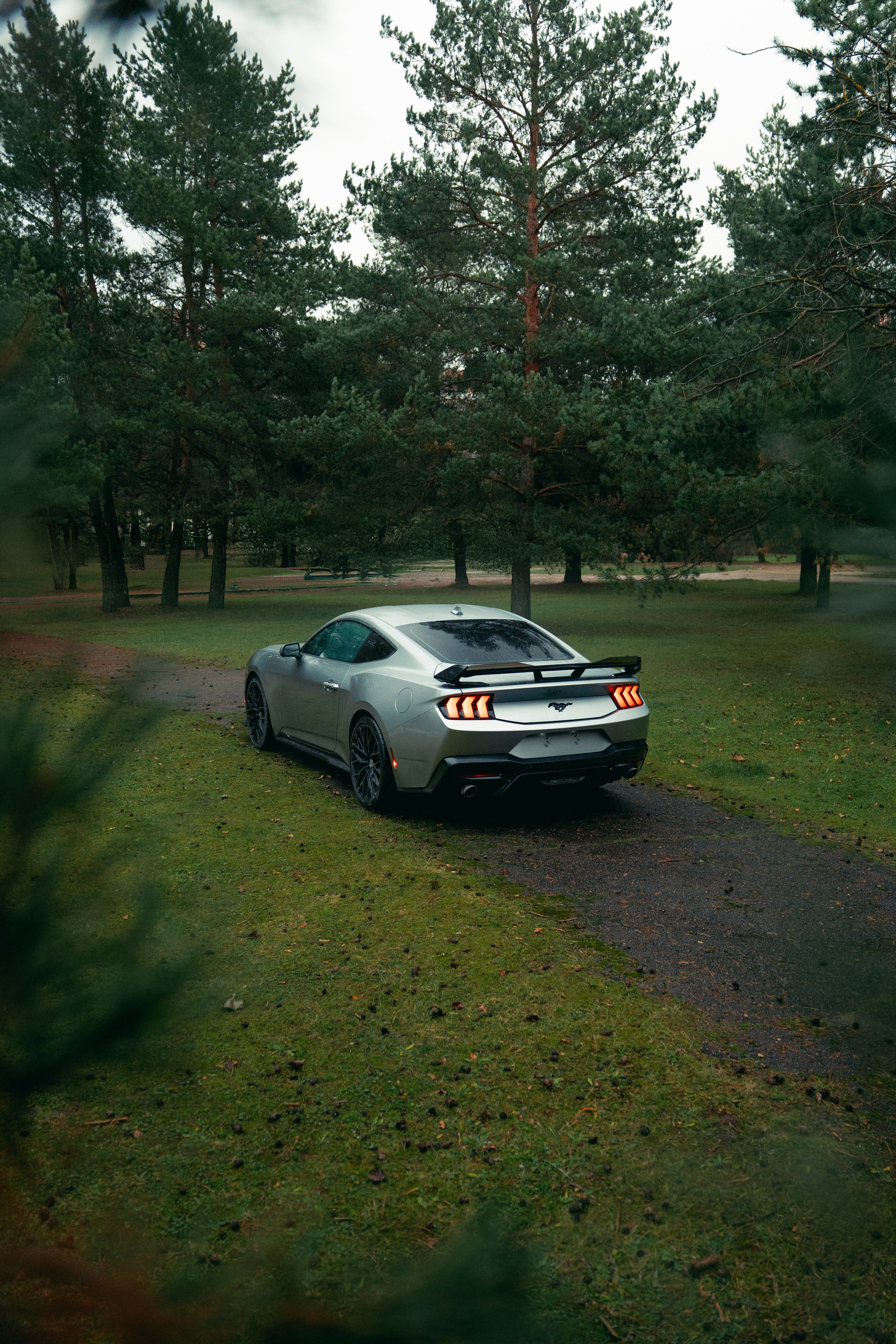 Фотографии Ford Mustang