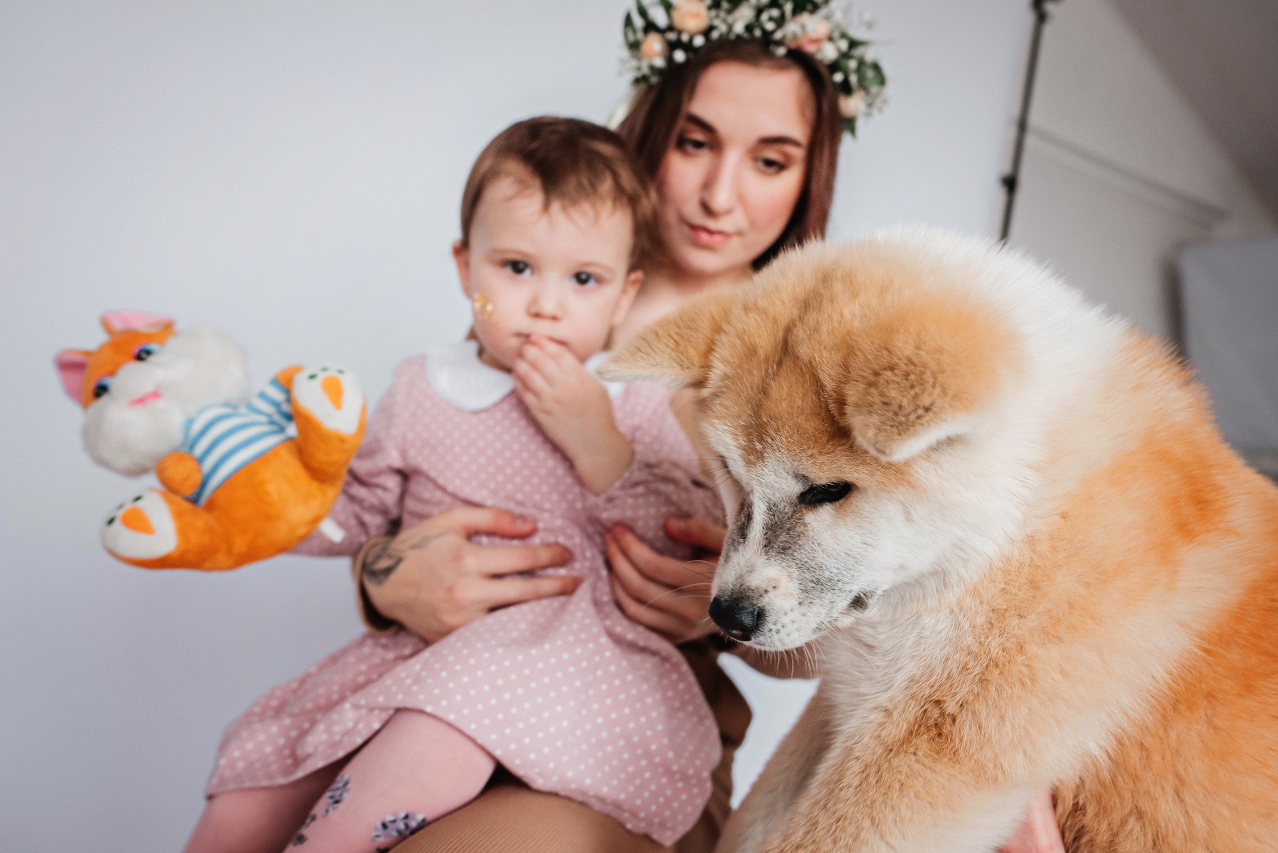 Фотодни со щенком. Детский и семейный фотограф выпускной альбом Приморско-Ахтарск