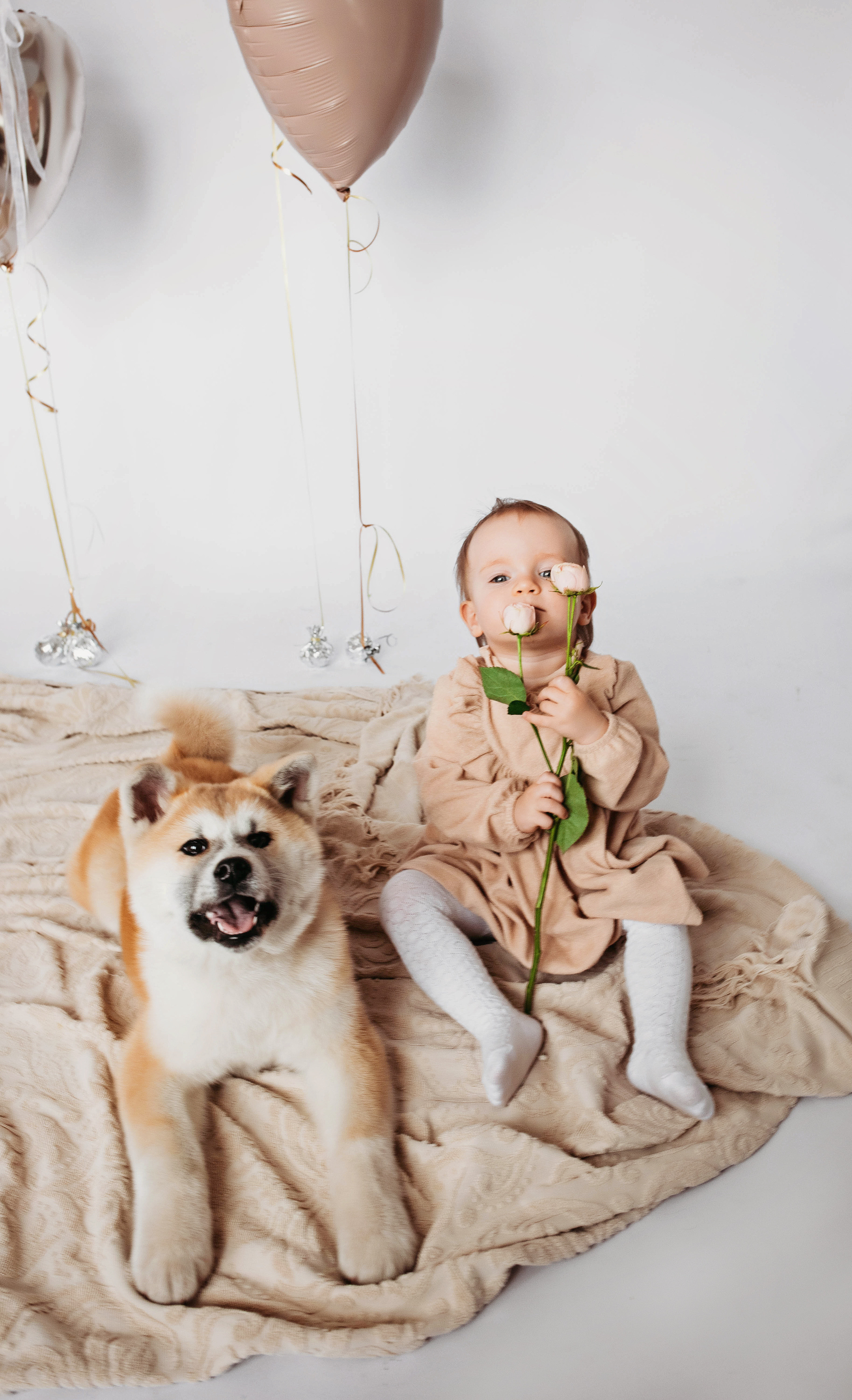 Фотодни со щенком. Детский и семейный фотограф выпускной альбом Приморско-Ахтарск