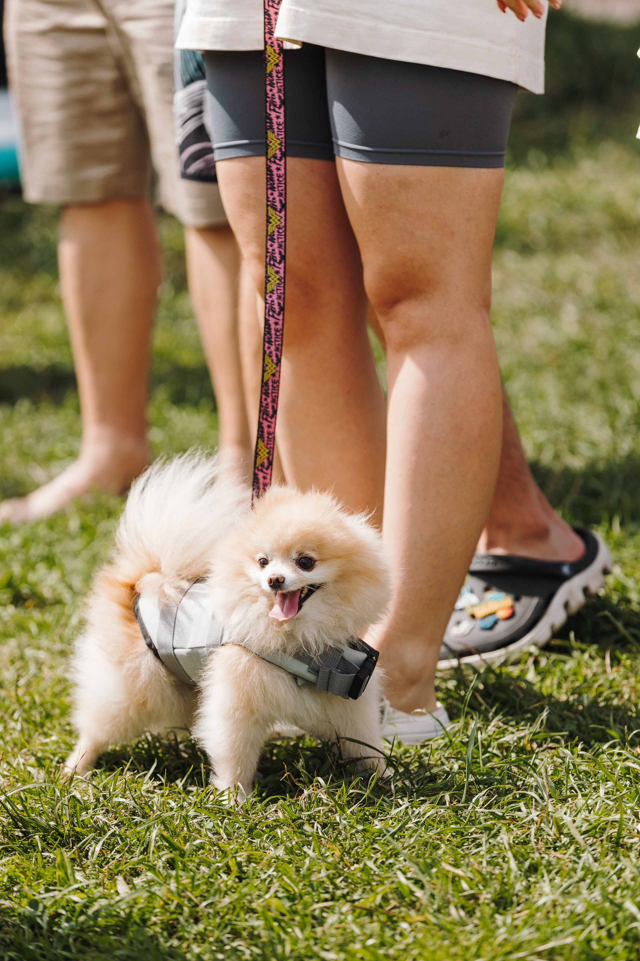 Petshop Sup day. Фотограф анималист Кристина Карпова, Москва