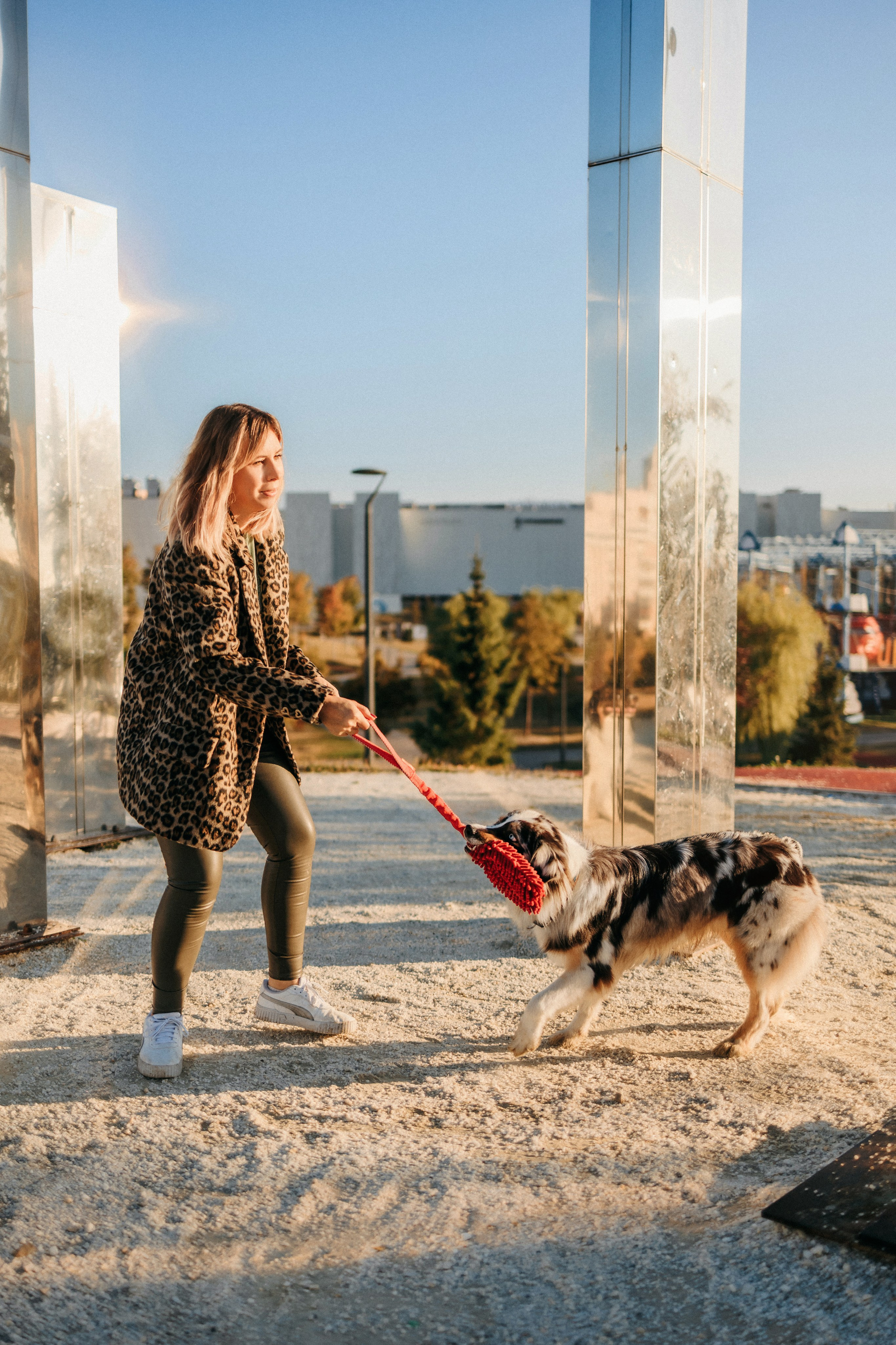 Аня, Чарли и Ева. Фотограф-анималист Елена Радченко, Москва