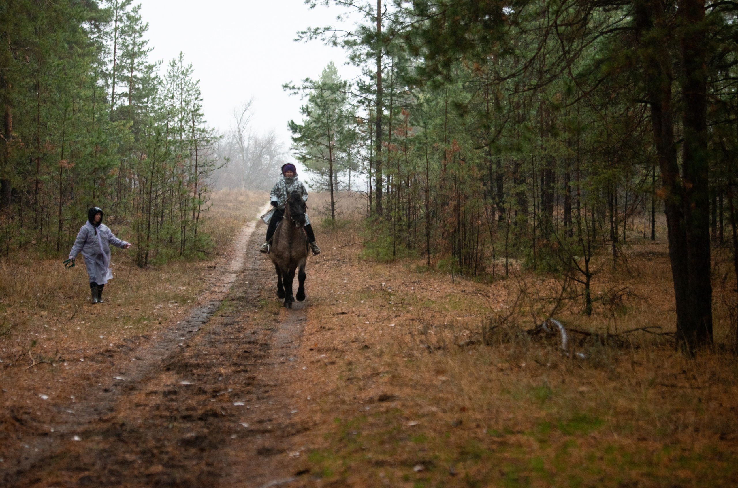 Конный лагерь в Родославном. Конный фотограф в Саратове Юлия Иванова