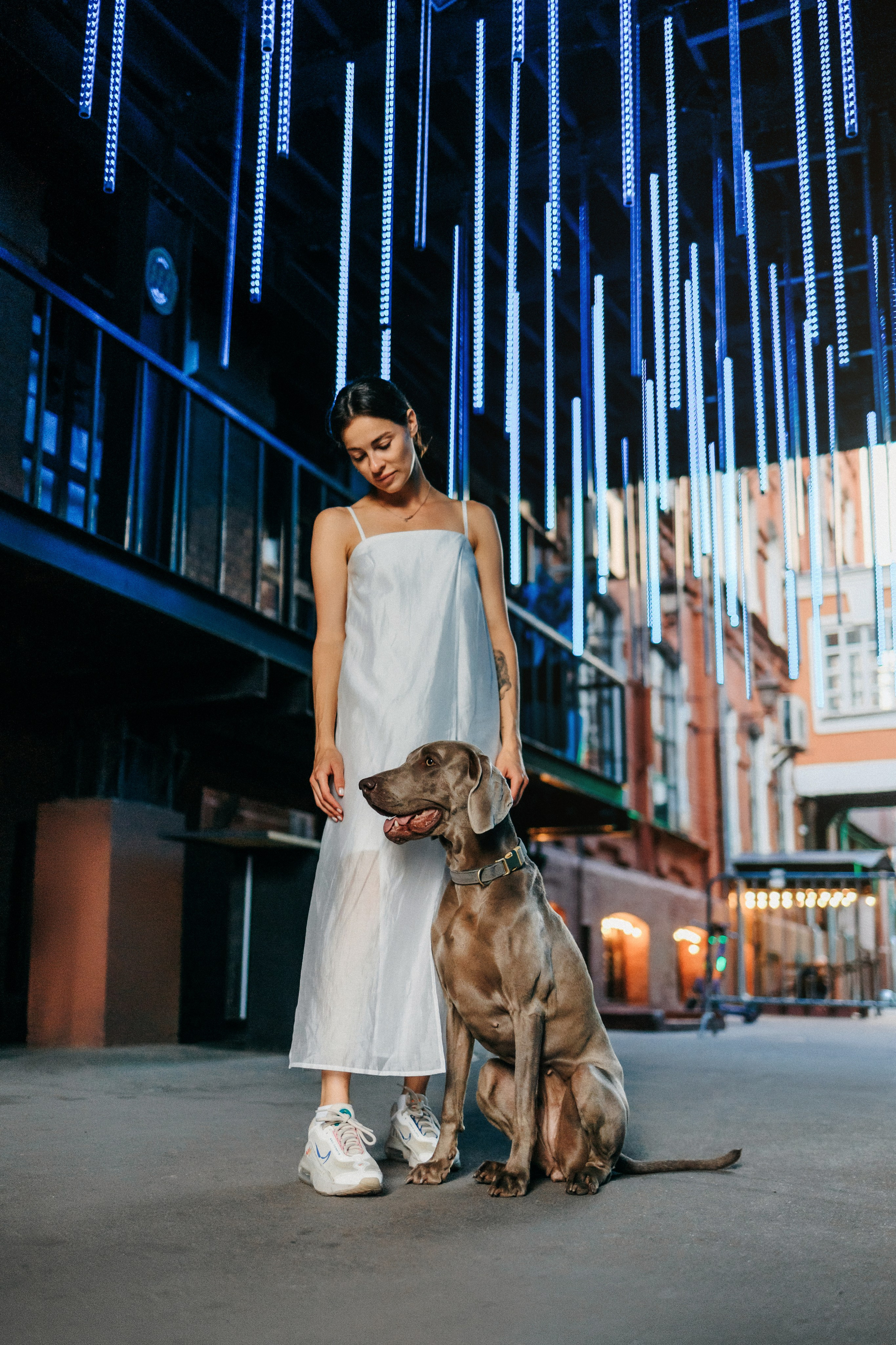 Соня и Майли. Фотограф-анималист Елена Радченко, Москва