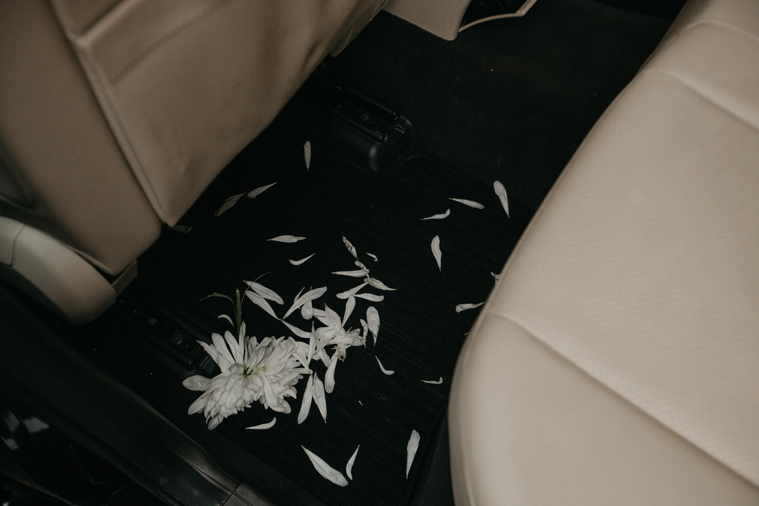 V|E. Свадебный фотограф Таня Караисаева