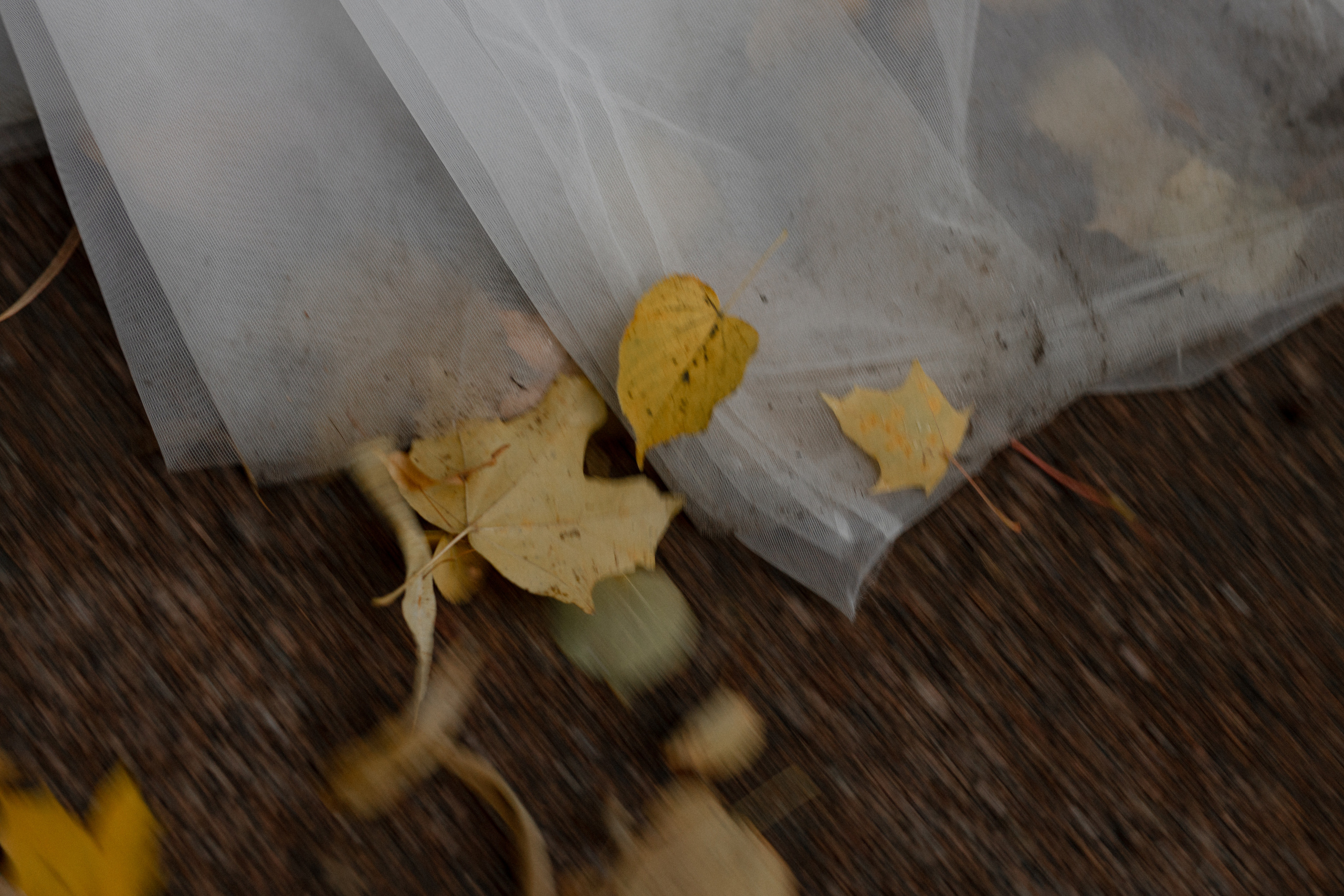 V|A. Свадебный фотограф Таня Караисаева