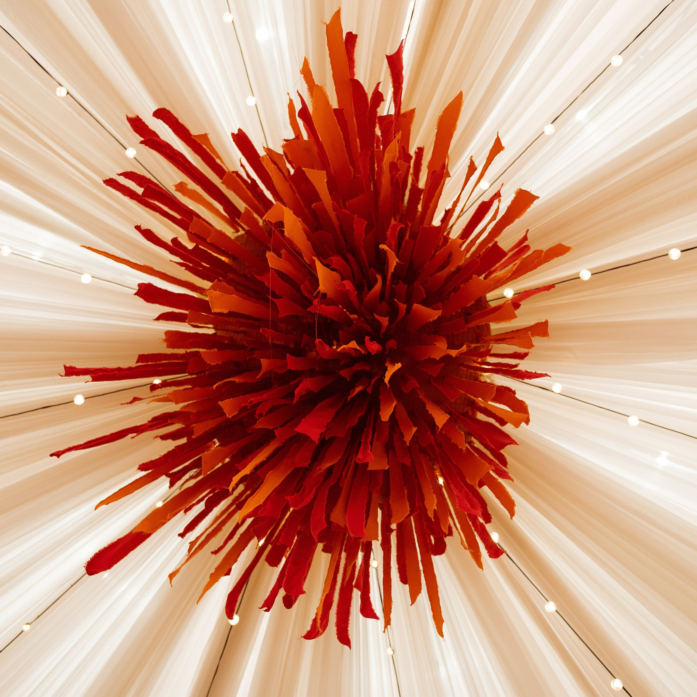 Gucci colors. Свадебный фотограф Саша Базенко