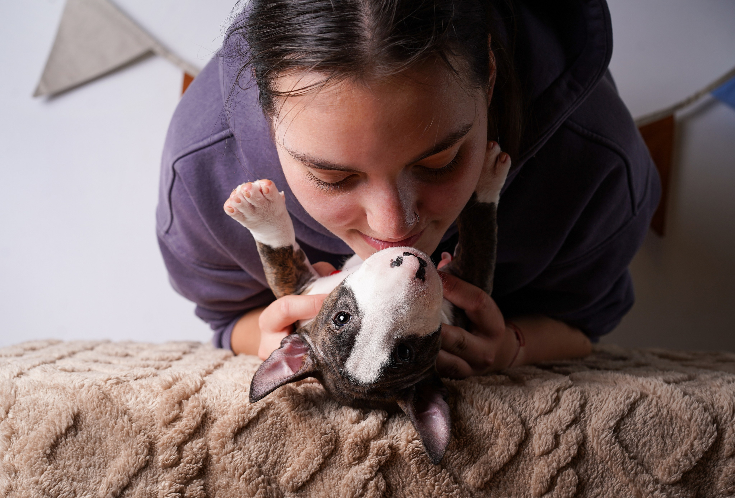 Щенки минибультерьера. Фотограф-анималист в Санкт-Петербурге Яна Мартынова