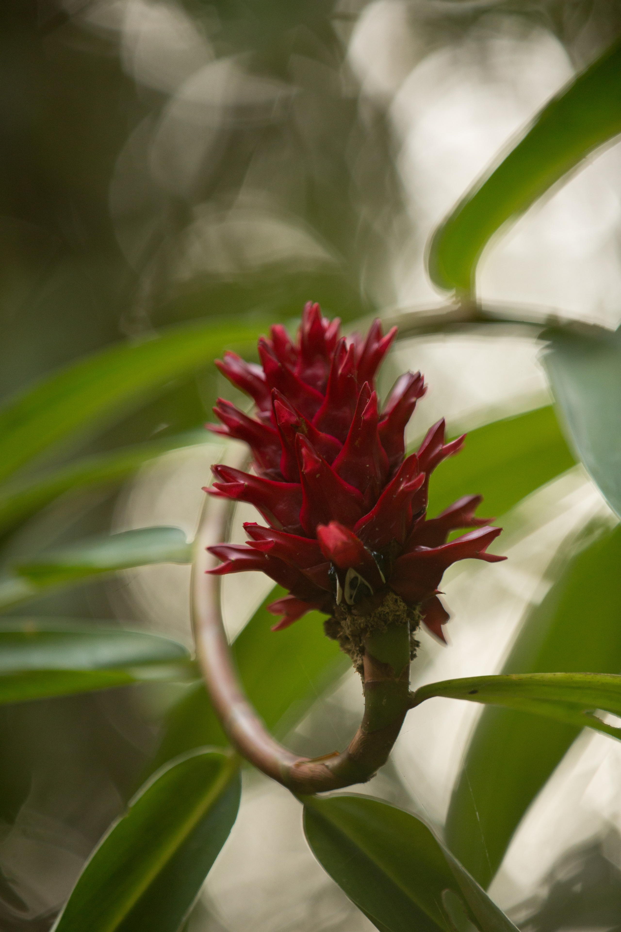 Фото Тайланда. Студия Максима Белослюдцева