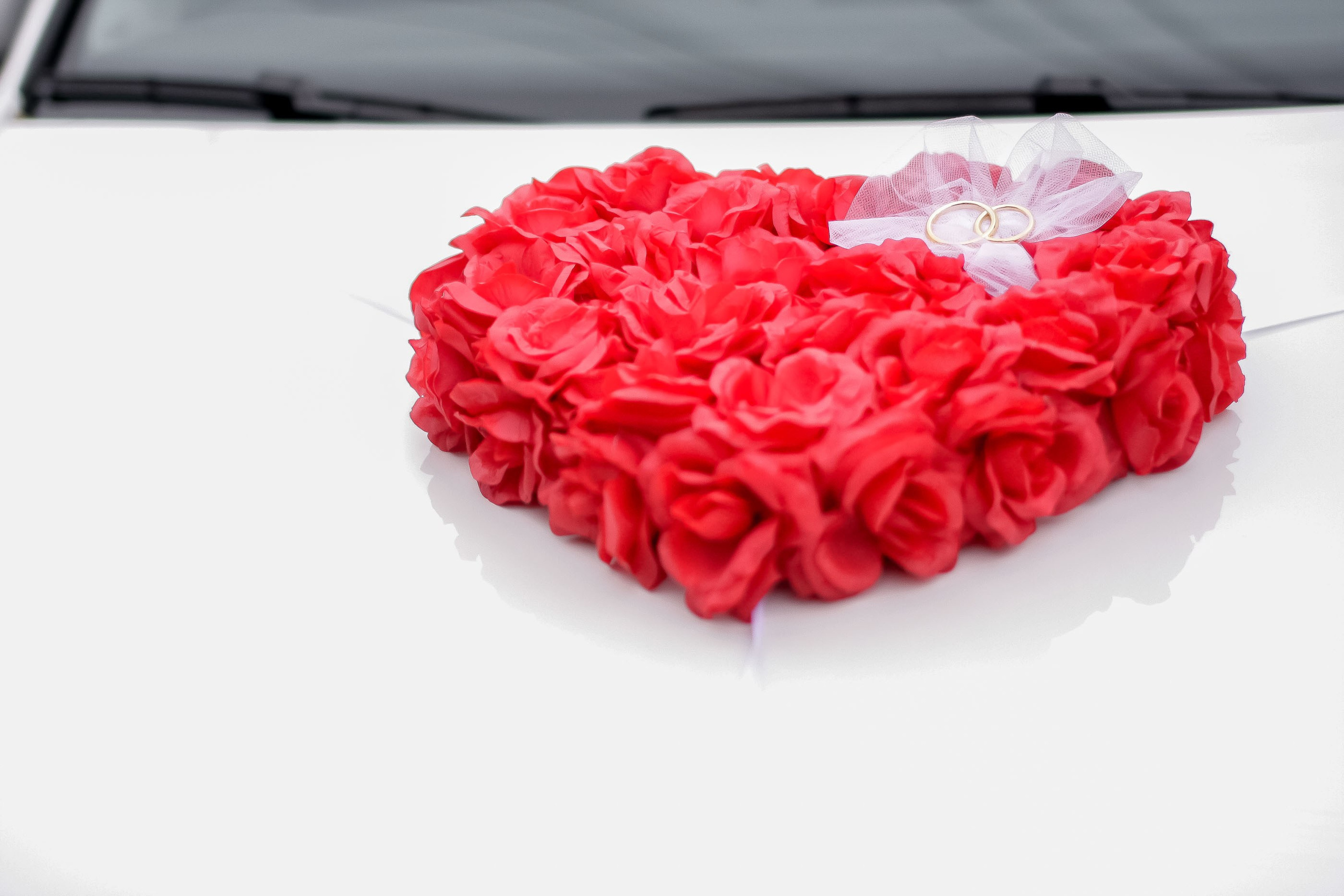 Утро/Morning. Максим Матвийченко и Виктория Басова профессионалы своего дела