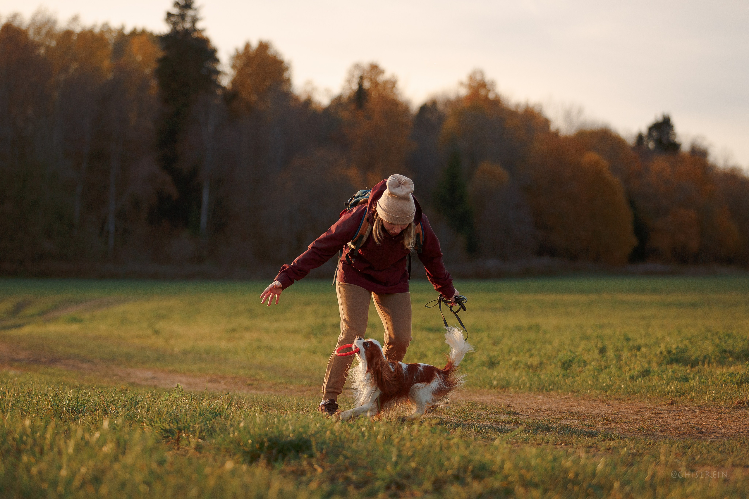 Октябрьский закат в полях. Алина и Лео. Фотограф-анималист Наталия Чистюхина в г. Сосновый Бор и ЛО
