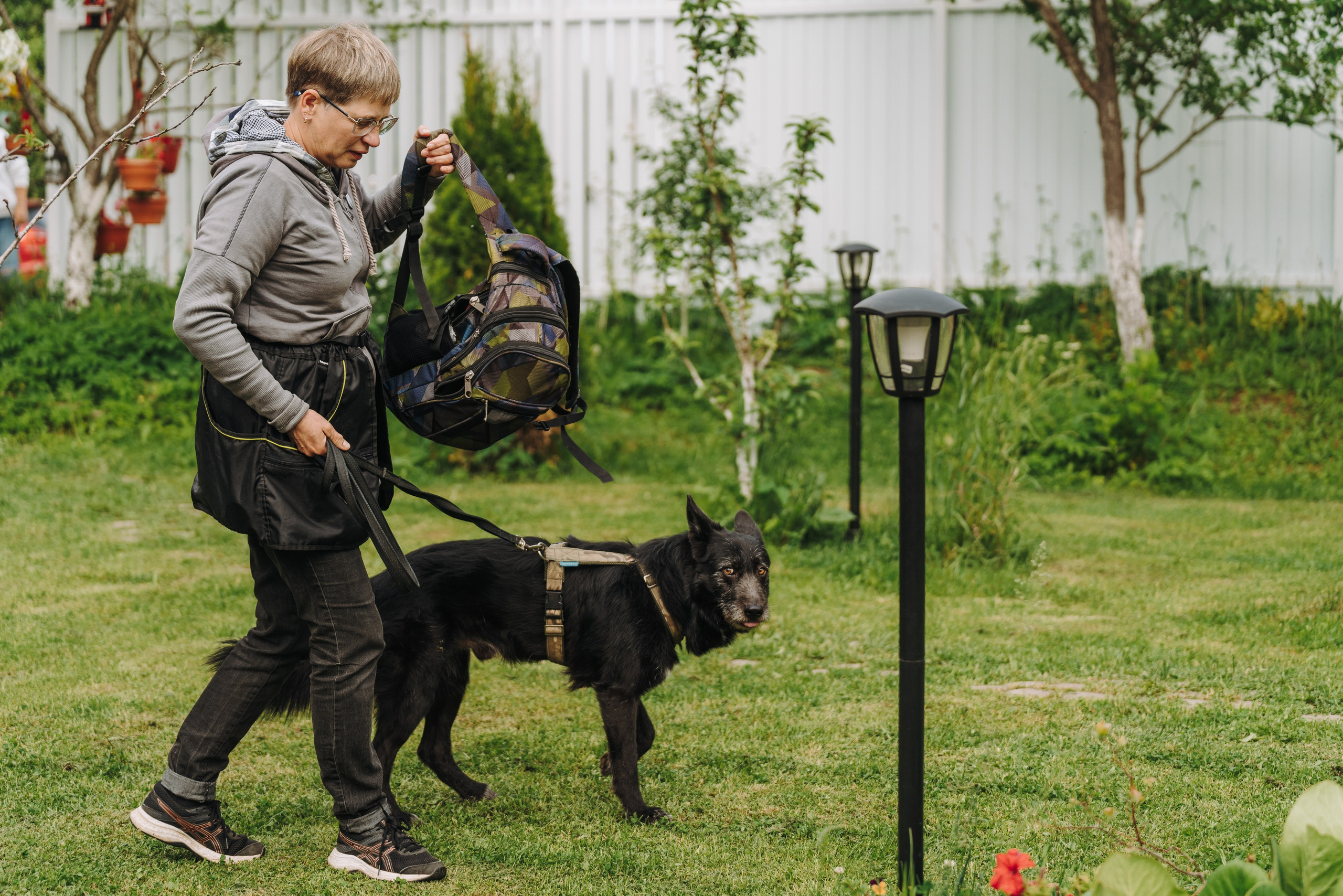 Соревнования по ноузворку. Фотограф анималист в Спб недорого Олеся Майорова