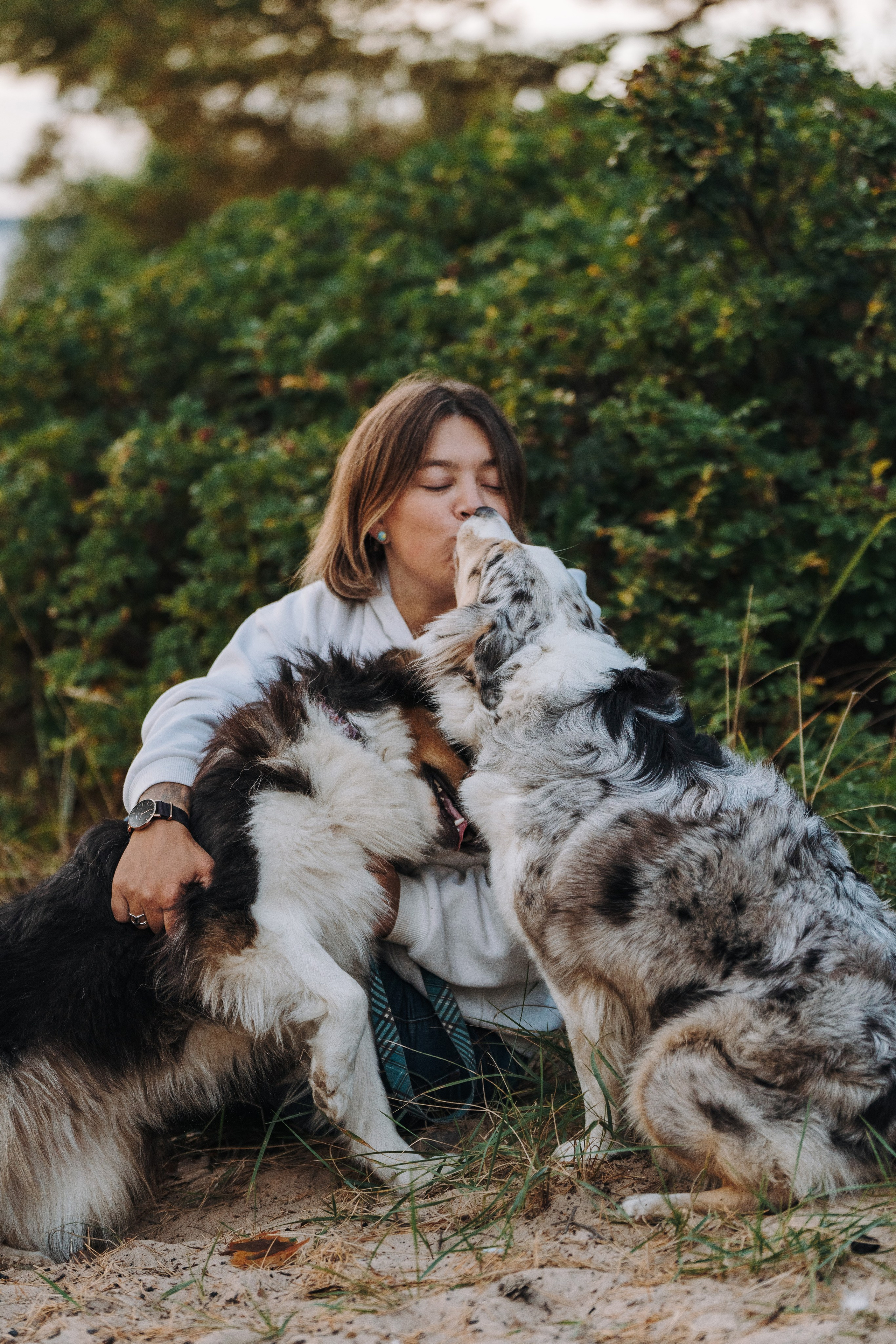 Фотограф анималист в Спб. Фотограф анималист в Спб недорого Олеся Майорова