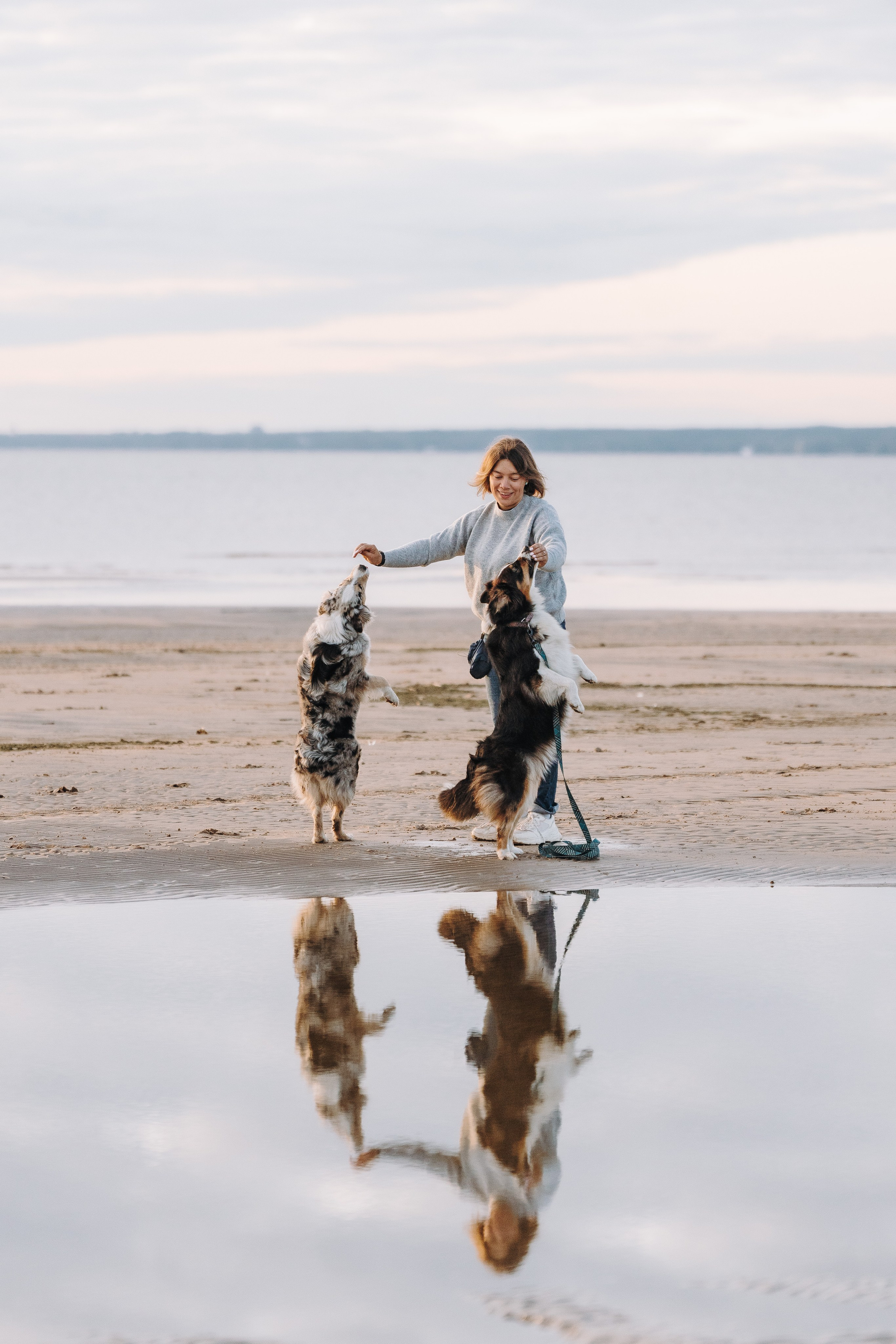 Фотограф анималист в Спб. Фотограф анималист в Спб недорого Олеся Майорова