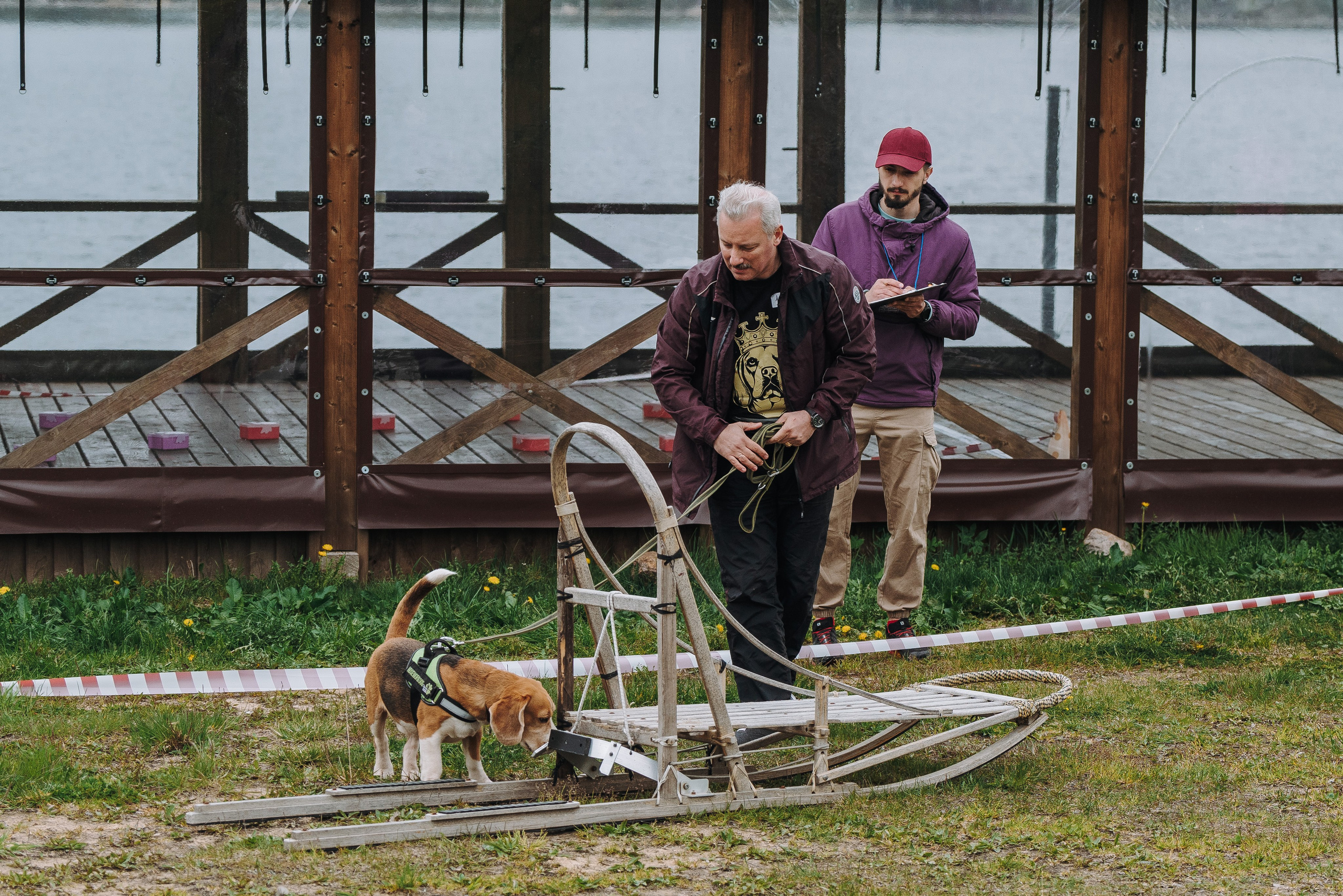 Соревнования по ноузворку в Лосево. Фотограф анималист в Спб недорого Олеся Майорова