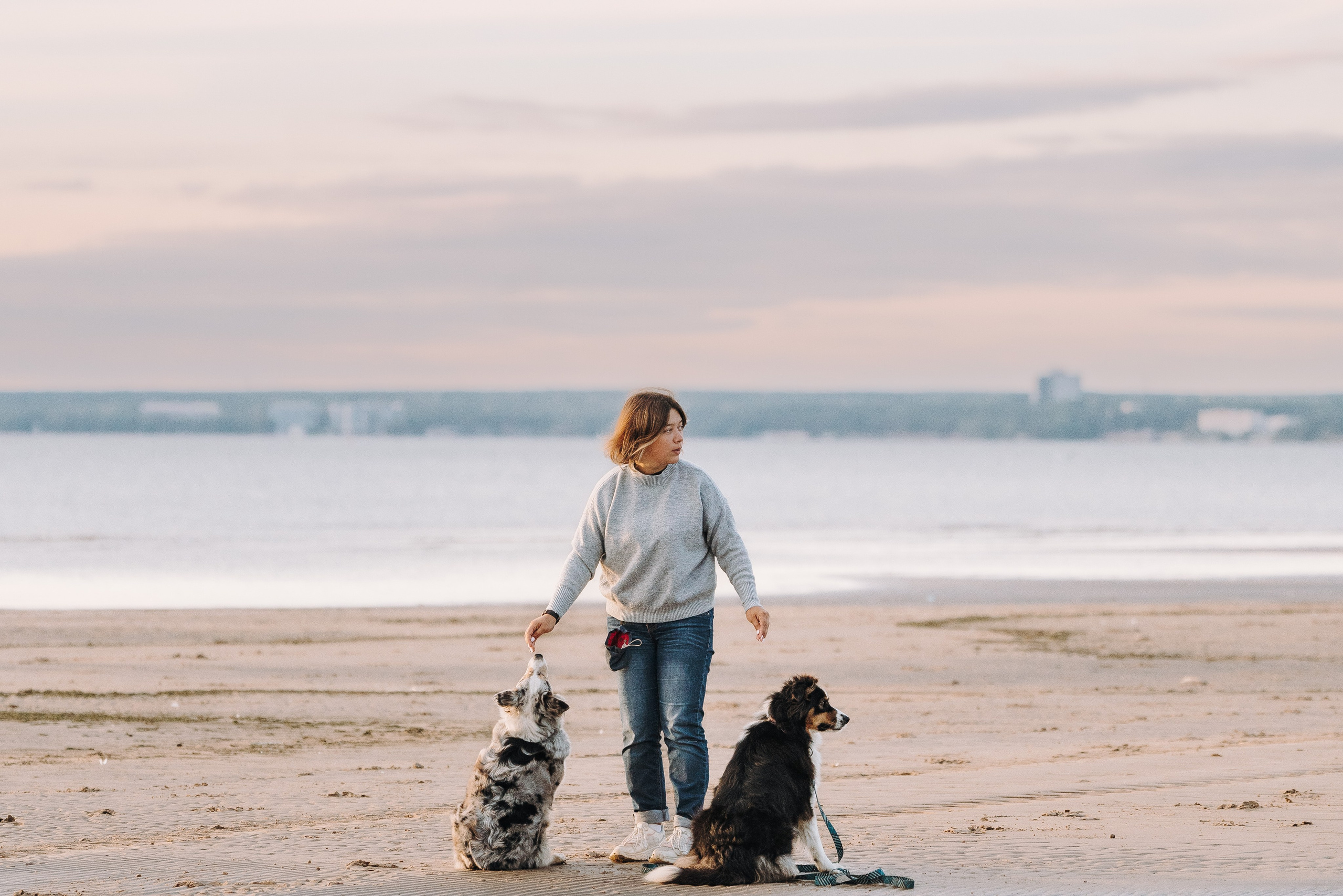 Фотограф анималист в Спб. Фотограф анималист в Спб недорого Олеся Майорова