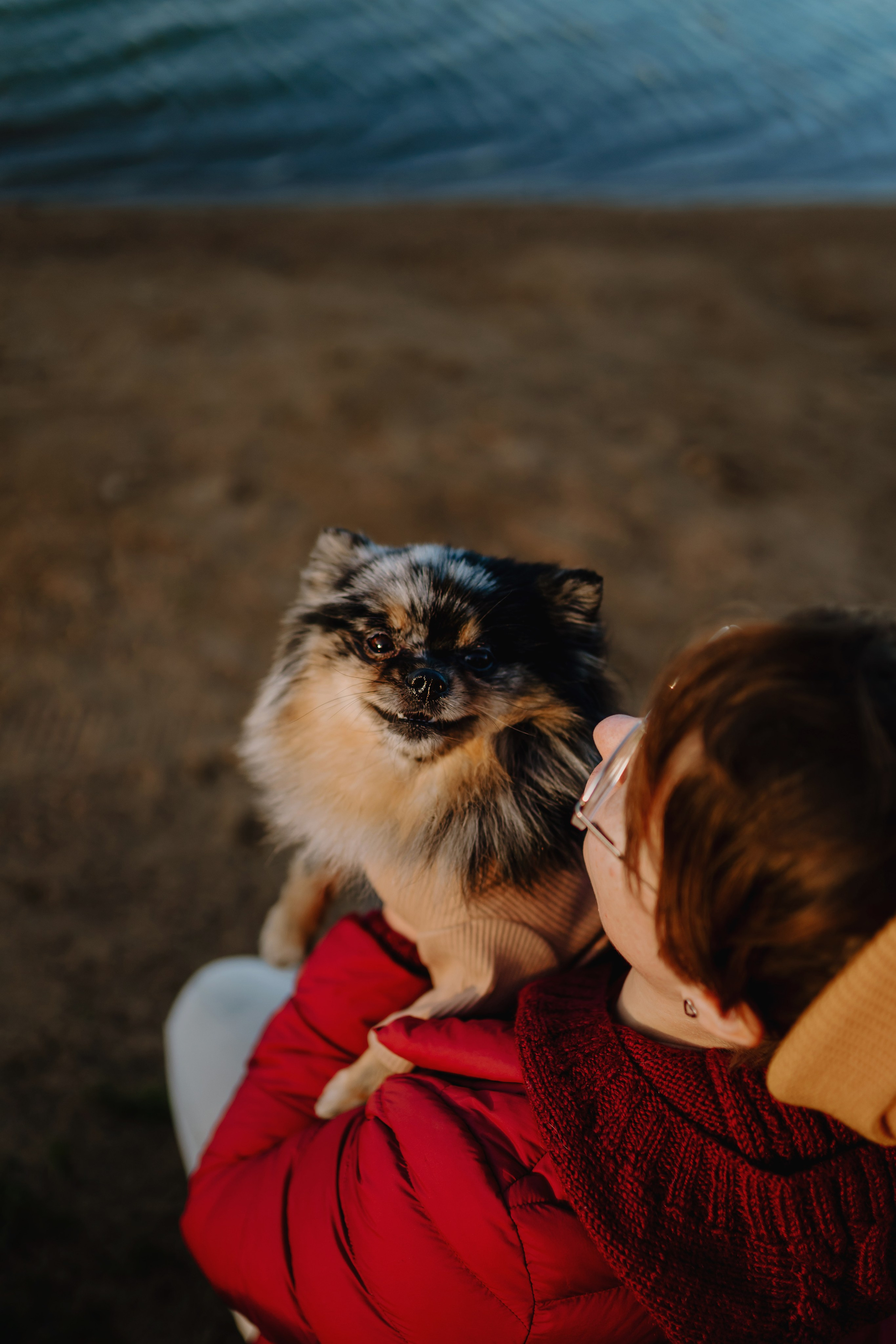 Семейная фотосессия с двумя собаками на закате. Фотограф анималист в Спб недорого Олеся Майорова