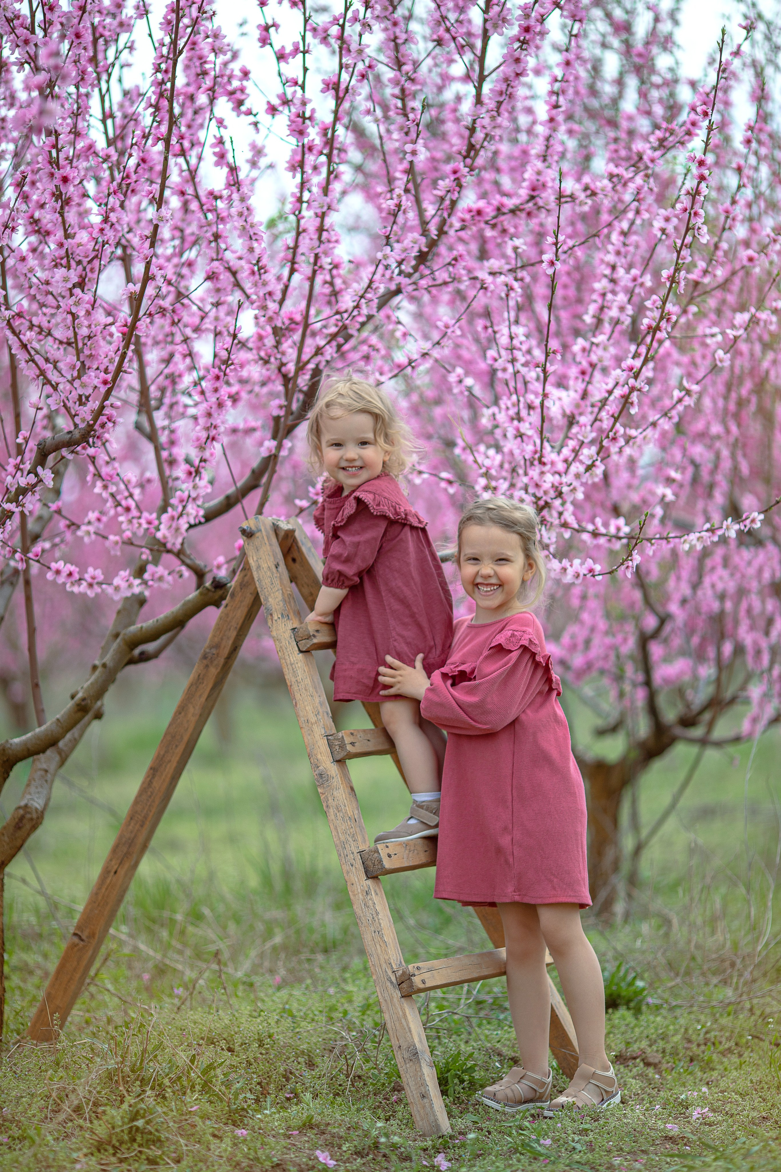 Цветущие персики 2024 г. Семейный и детский фотограф в Крыму Екатерина Швец