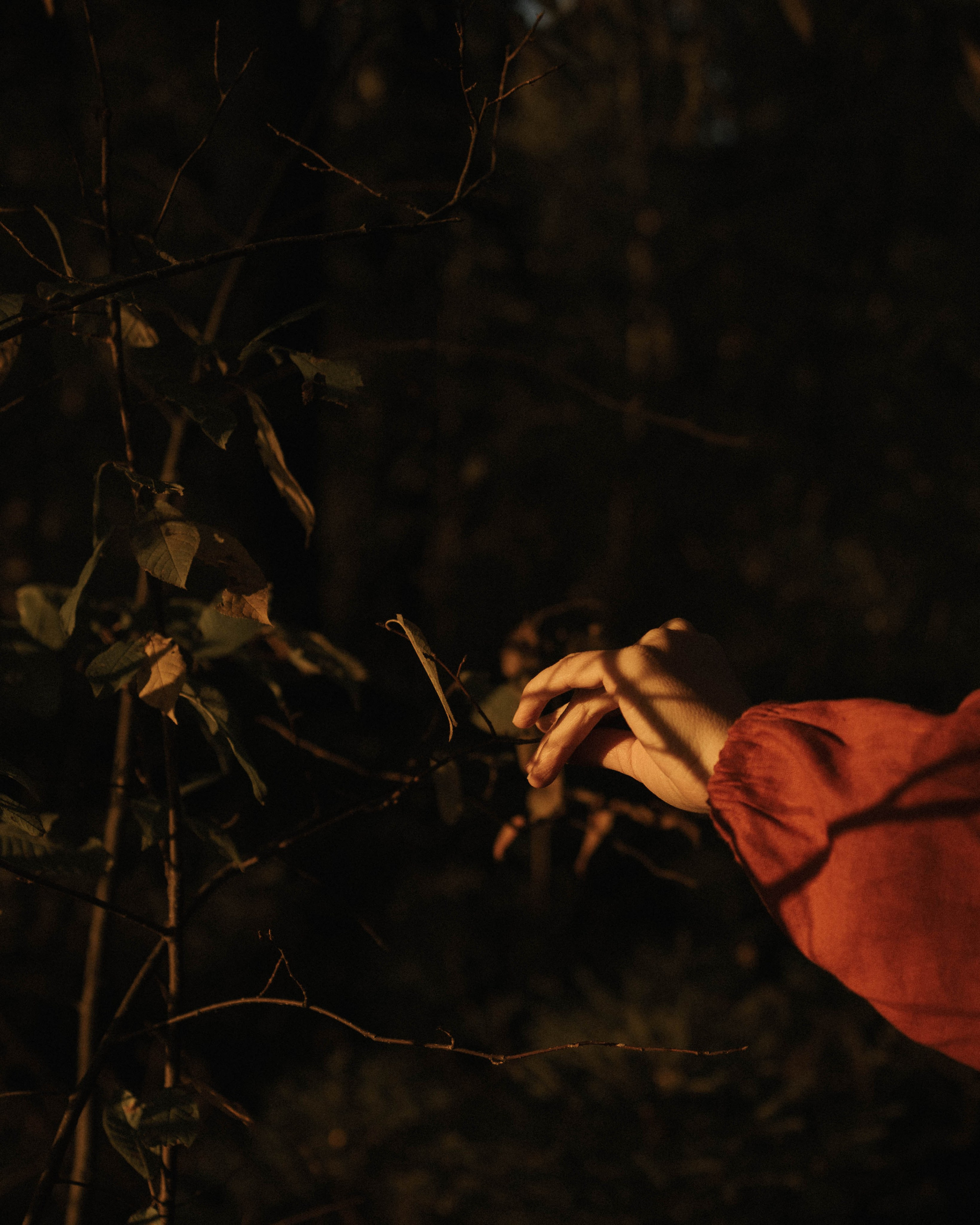 Закатная съемка на берегу реки с Аней. Фотограф Углич и Ярославль Ольга Тятюшкина