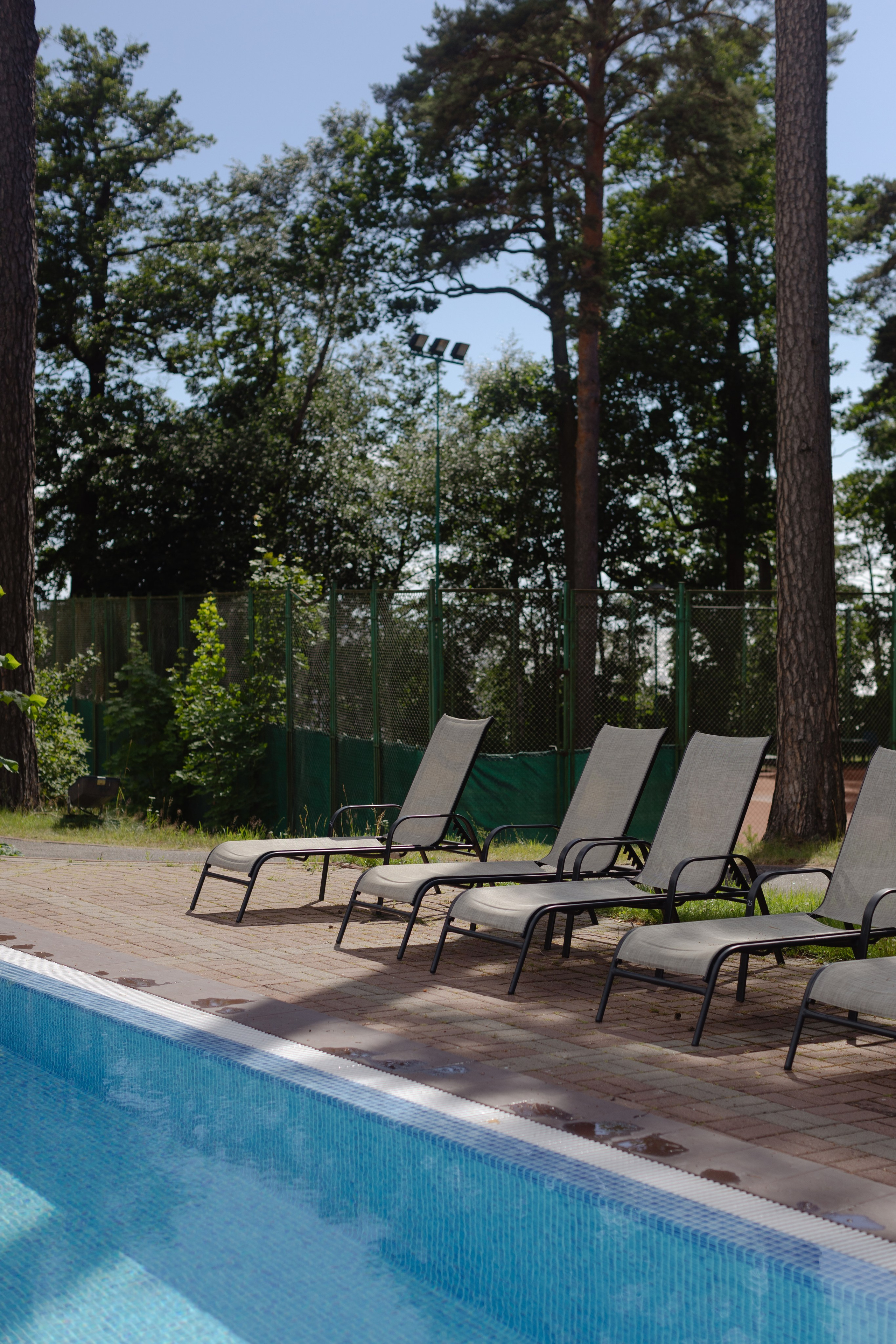 Виталий и Полина. @dariazphoto свадебный фотограф