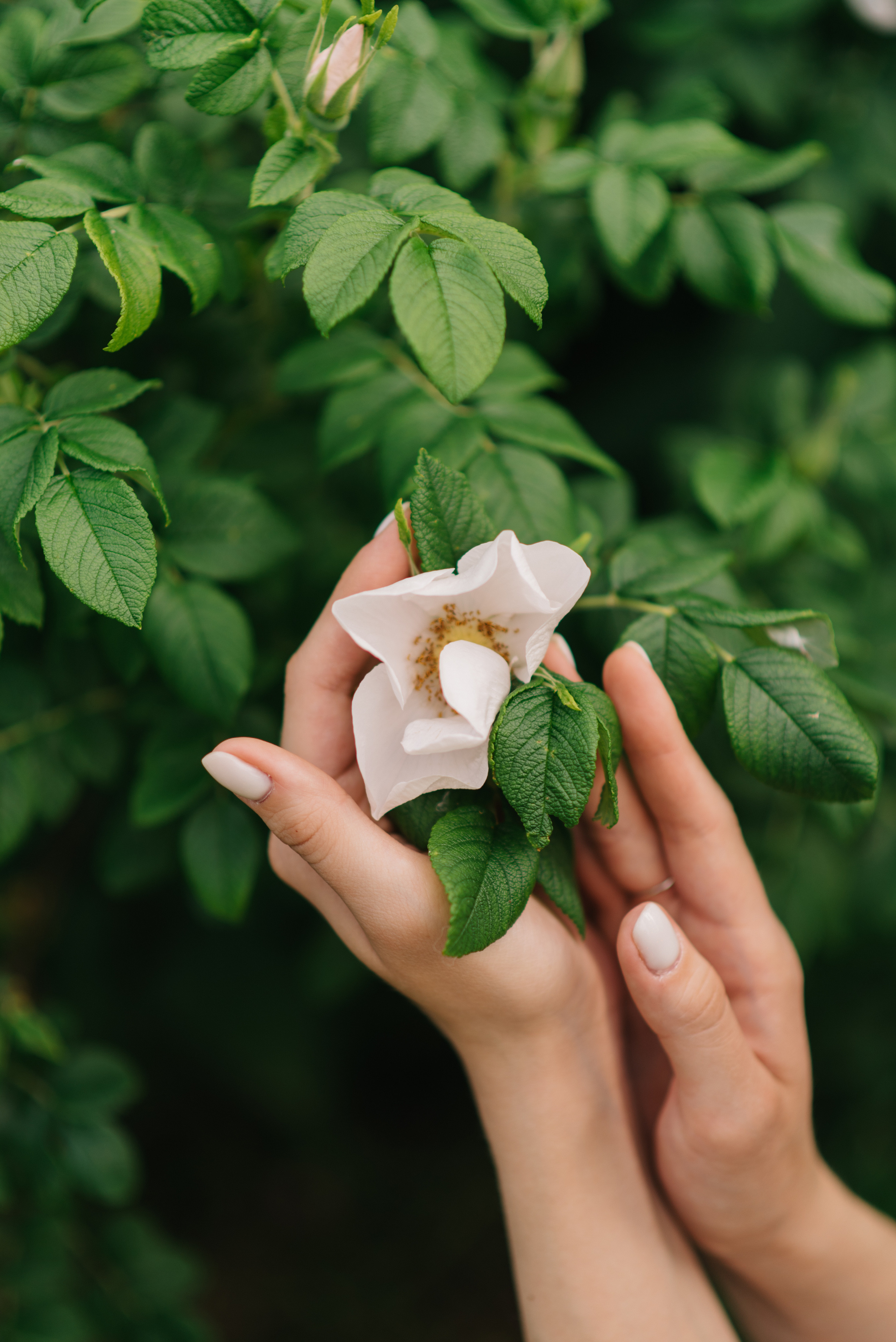 Ксения. Фотограф Архангельск