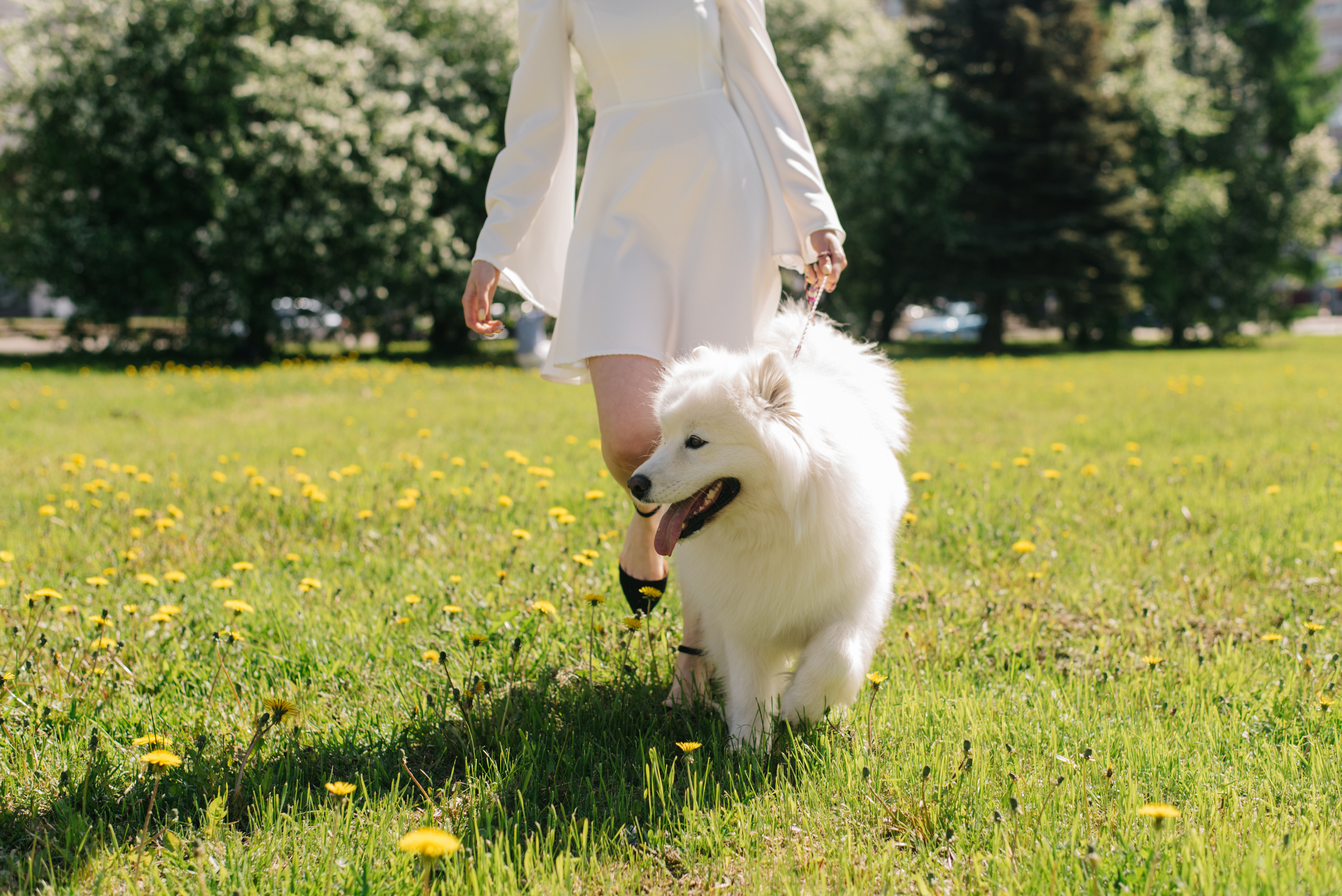 Алина и Нэя. Фотограф Архангельск