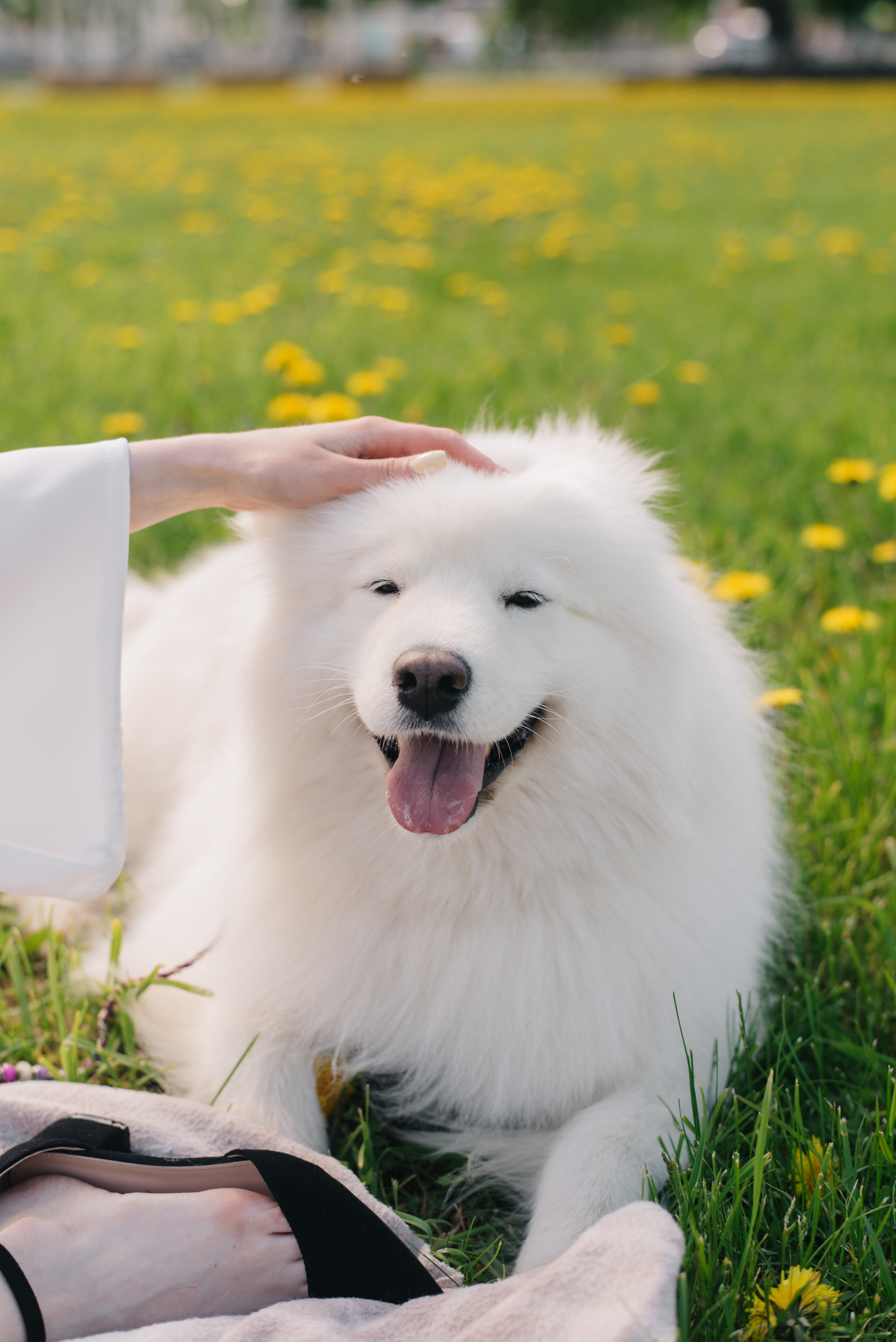 Алина и Нэя. Фотограф Архангельск