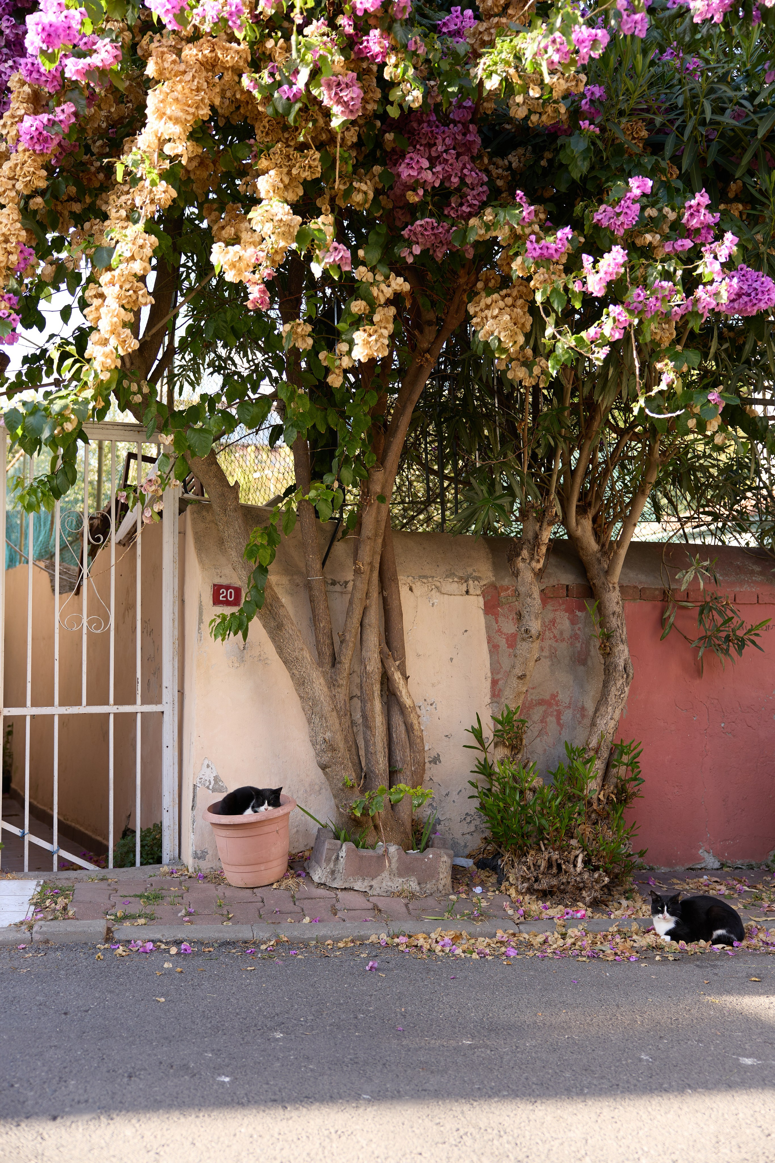 Стамбул 24. Фотограф Москва, Дима Пеллер