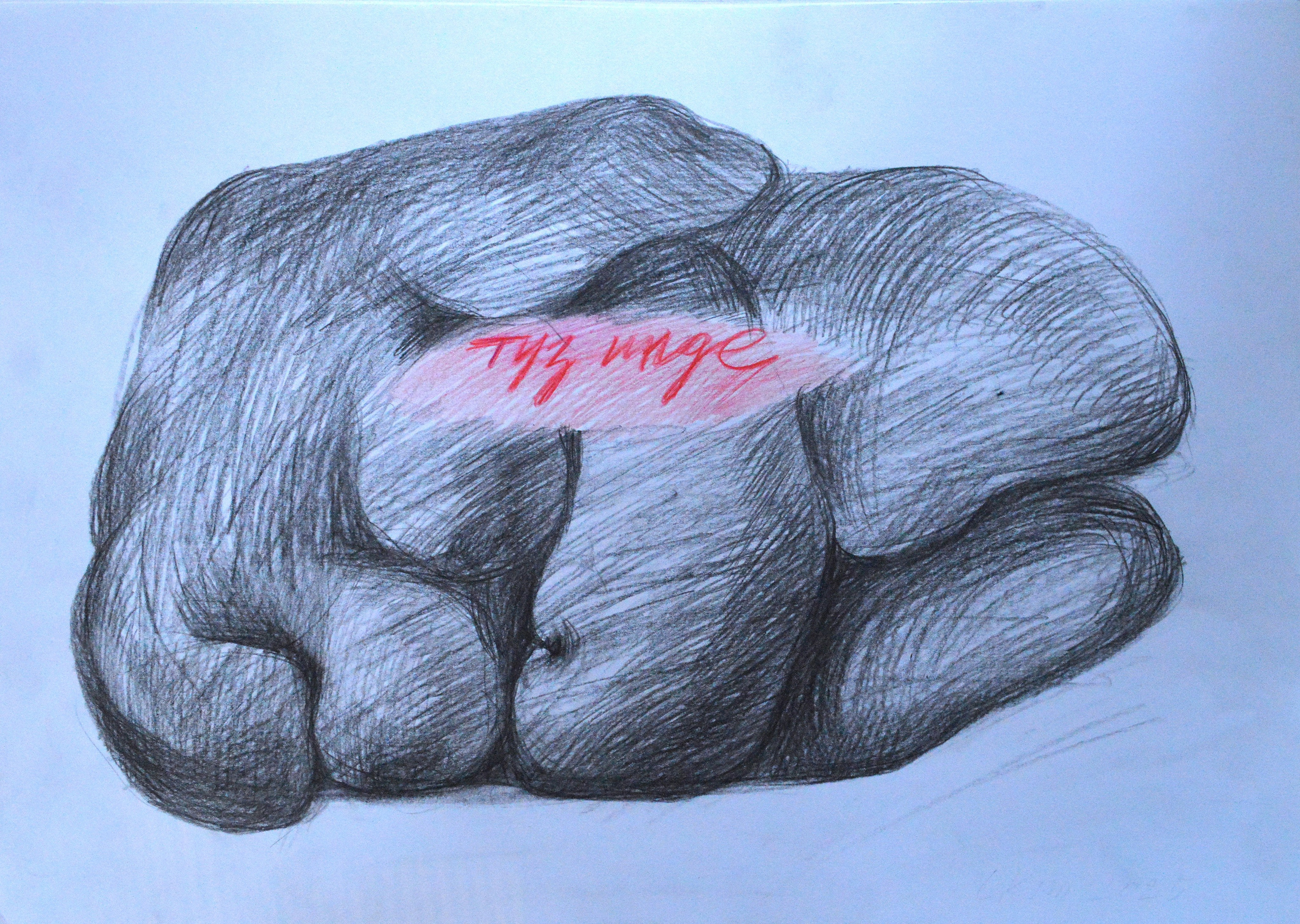 Серия «Туз инде. Тырыш инде.» 2025. Лилия Ким. Междисциплинарный художник