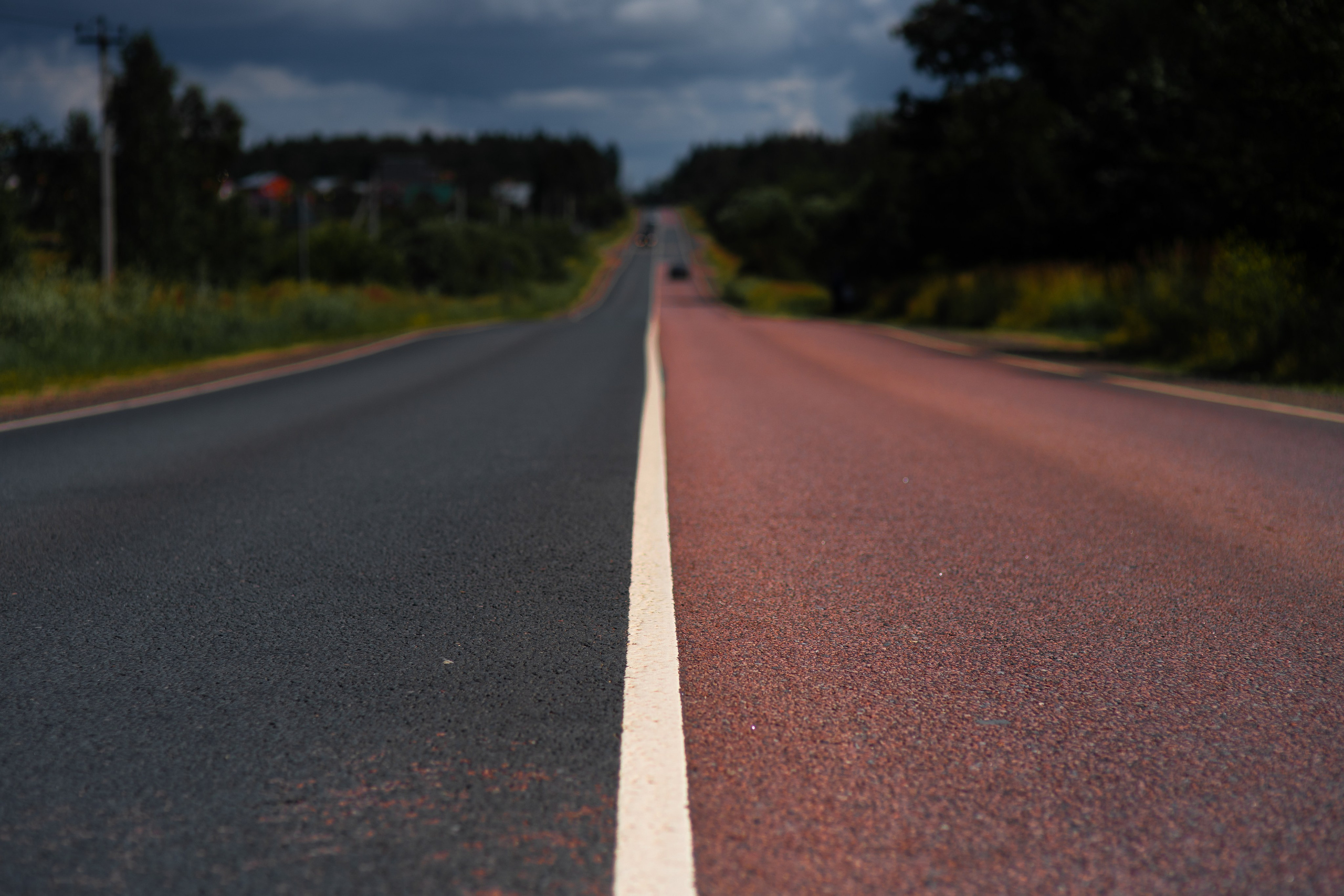 ЦВЕТНЫЕ ФОТОГРАФИИ. Никита Аничкин фото и видео оператор из России