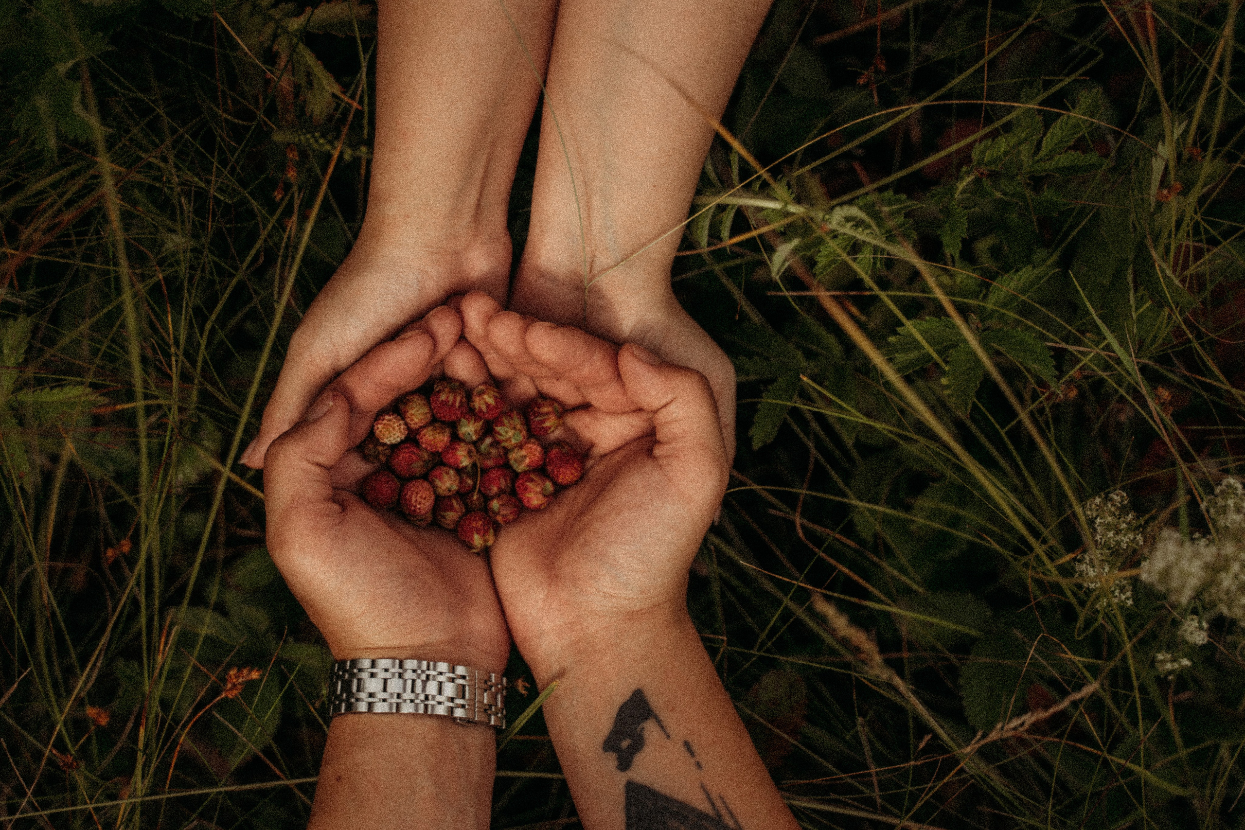 Любовь в землянике