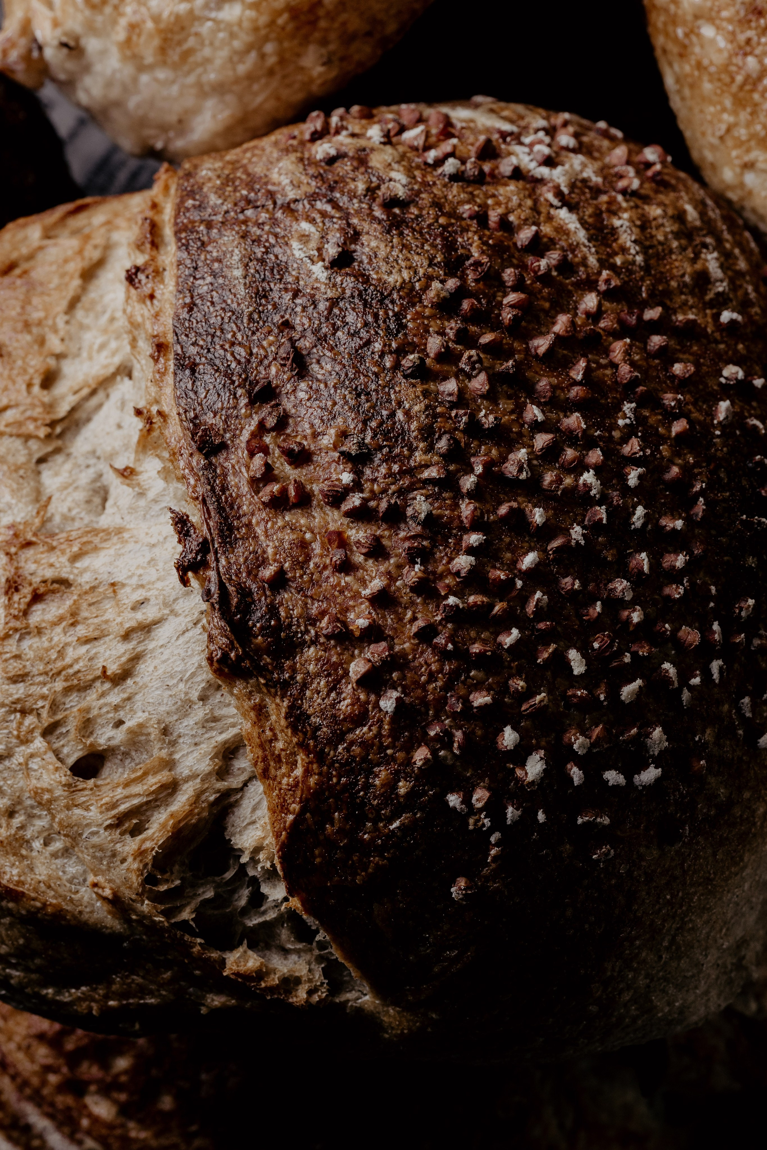 Elpan. Свадебный фотограф в Нальчике Алим Джаппуев