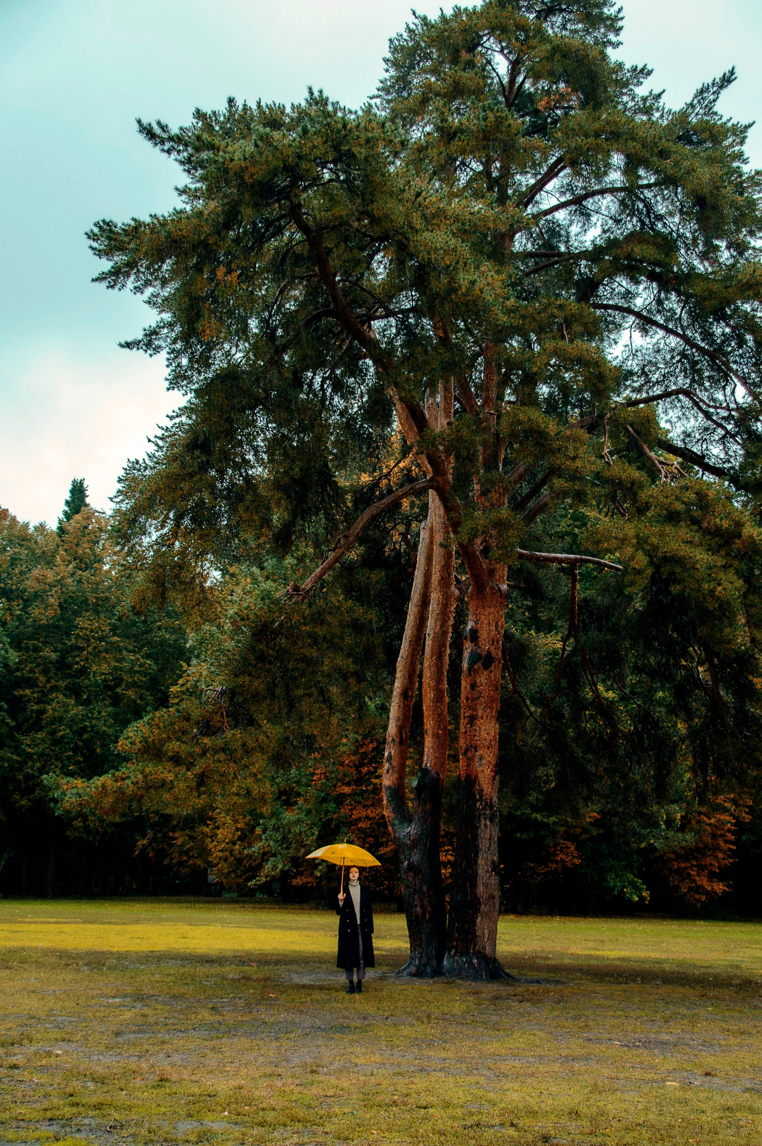 Ирина — Крылья свободы. Индивидуальный фотограф в Москве