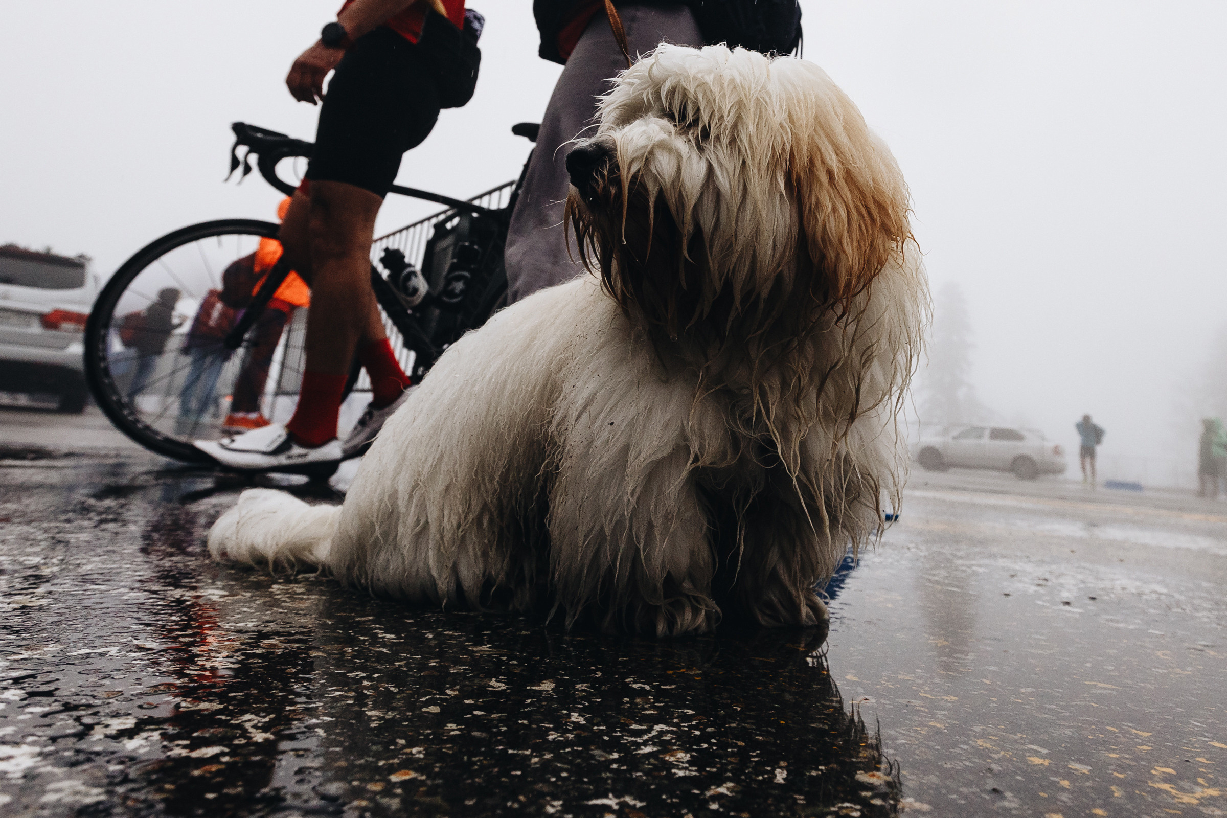 Велогонки «3 горы» г. Сочи. Репортажный фотограф в Сочи и Москве Кирилл Гужвинский