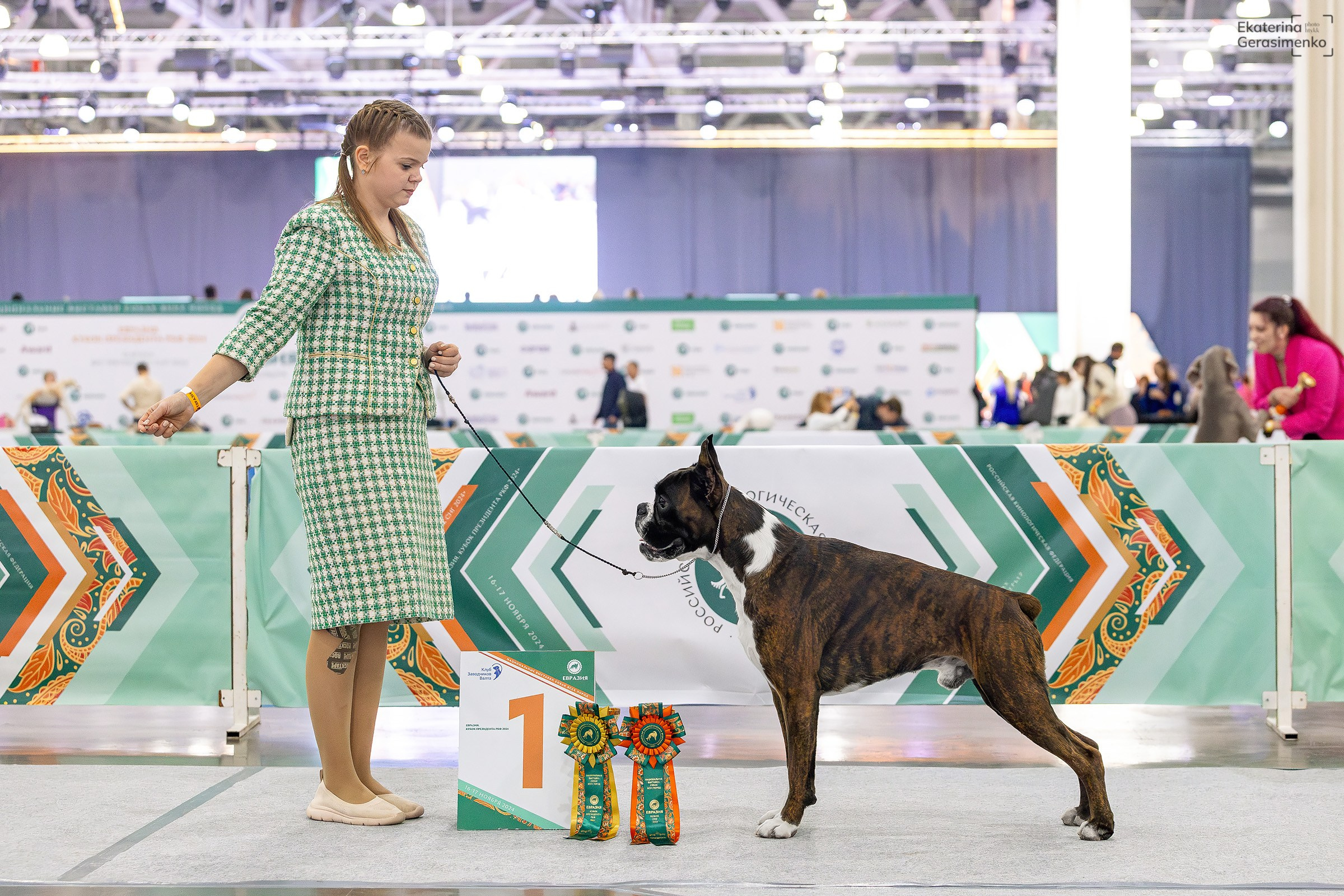 16–17 ноября 2024, Выставка ЕВРАЗИЯ, г. Москва. Htykk_photo