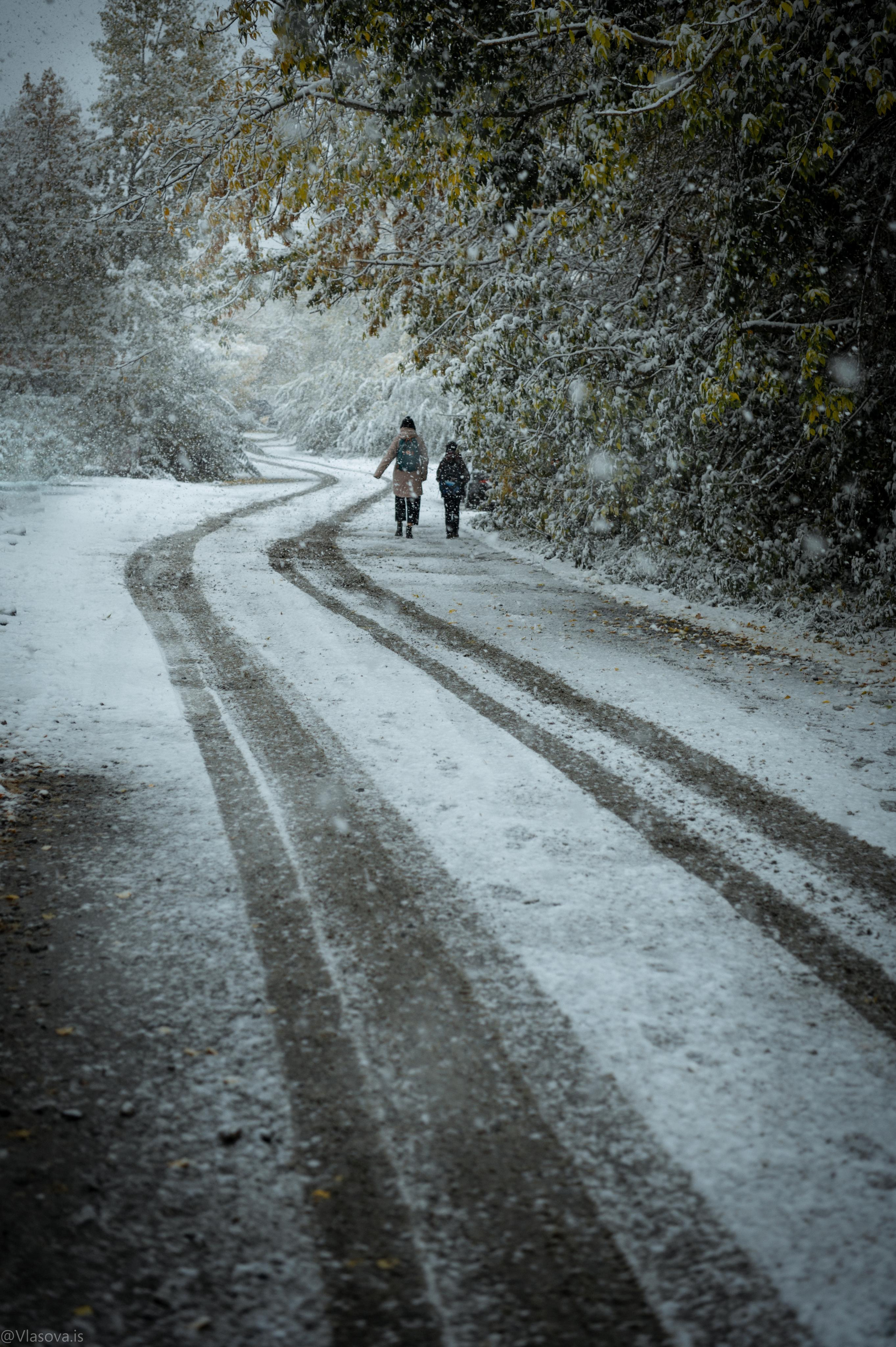 Дети гуляют. Спортивный и портретный фотограф