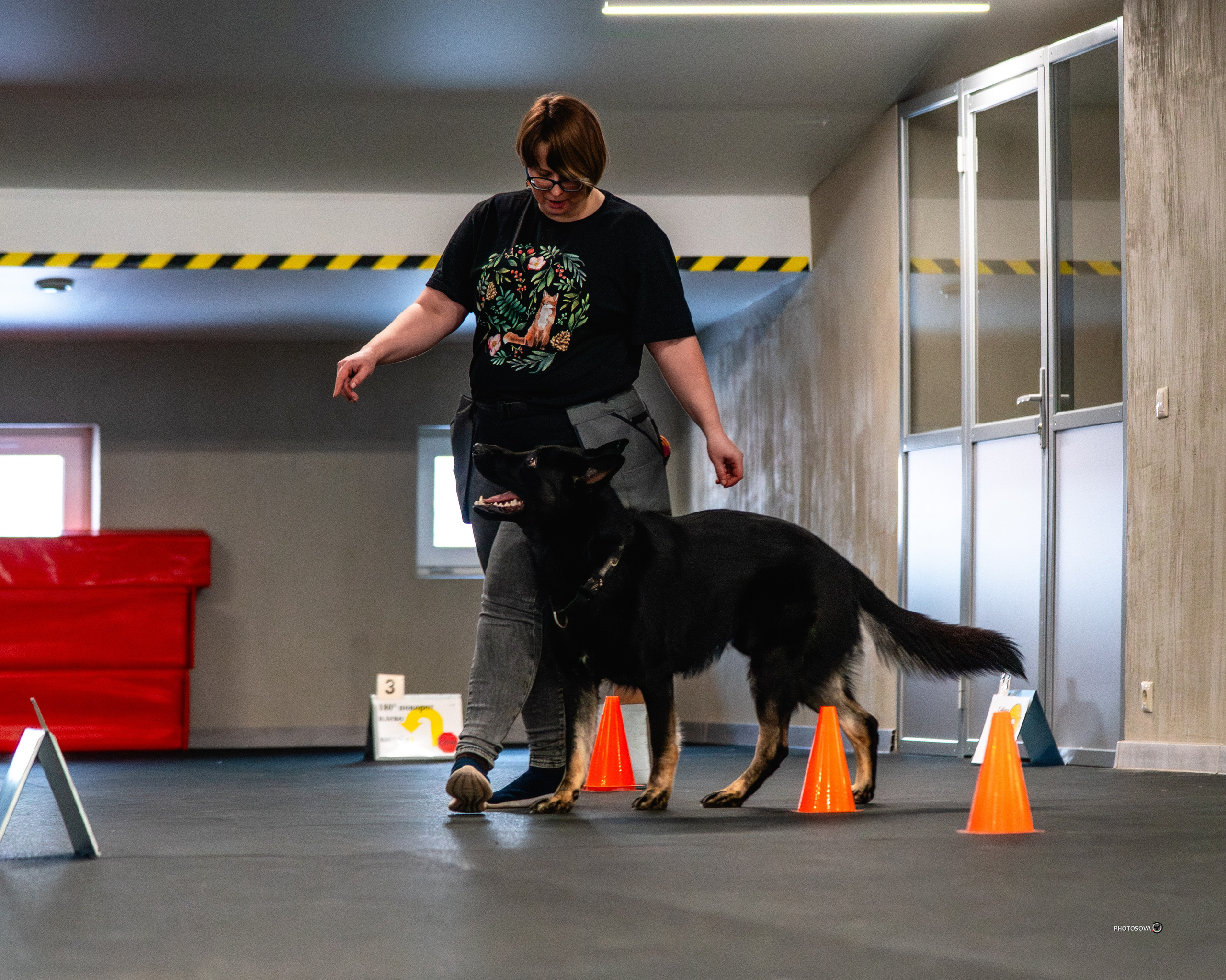 ТЫ И Я (соревнования по ралли-обидиенс). Фотограф-анималист, семейный фотограф в Москве и Подмосковье. Фотосъёмка кинологических дисциплин