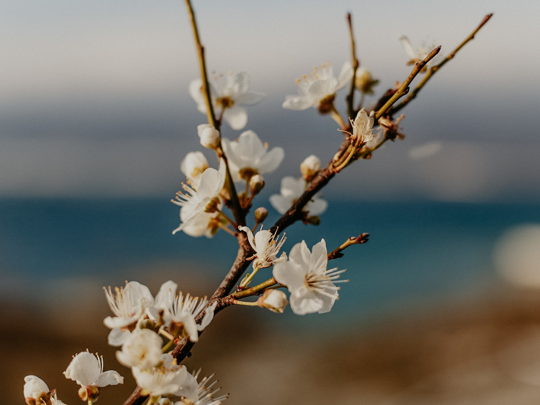 Семён &Арина. Фотограф в Санкт Петербурге и Москве Анастасия Сиволод