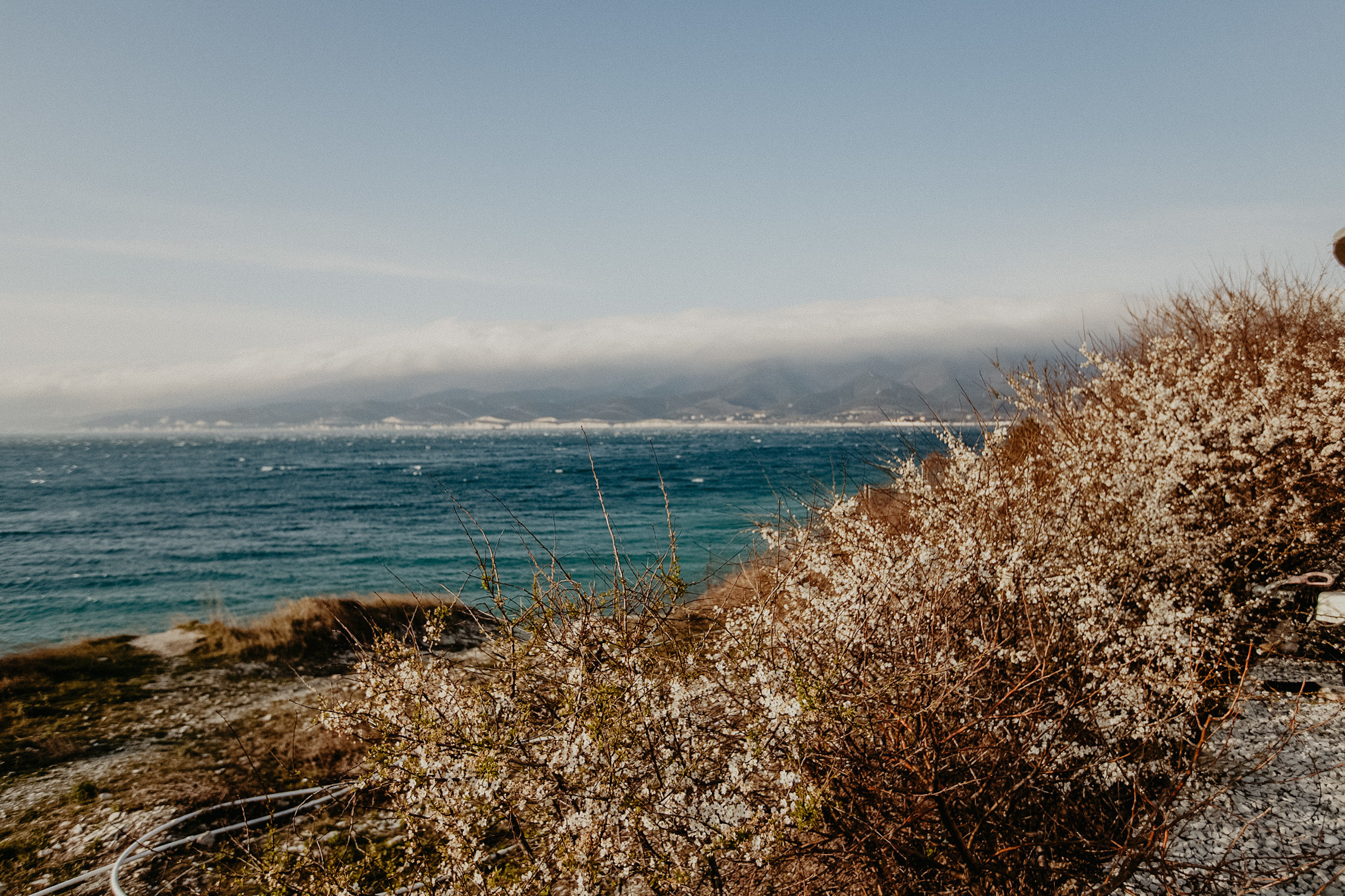 Семён &Арина. Фотограф в Санкт Петербурге и Москве Анастасия Сиволод