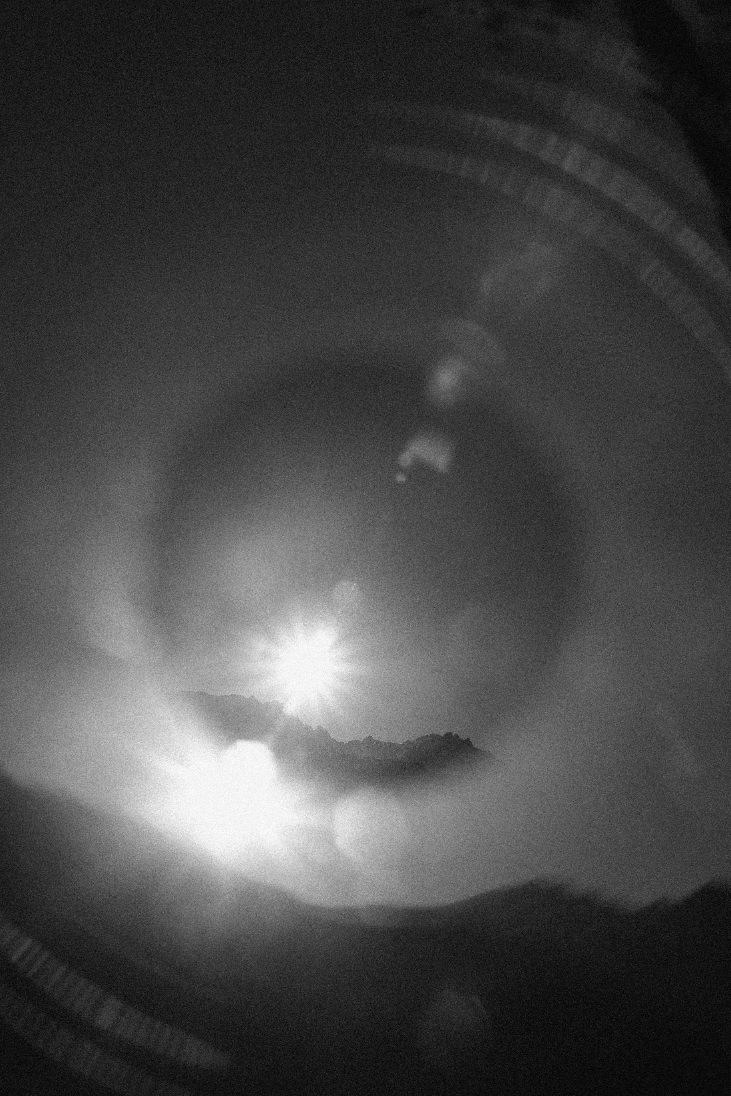 Дигория. Фотограф Санкт-Петербург Макарова Дарья