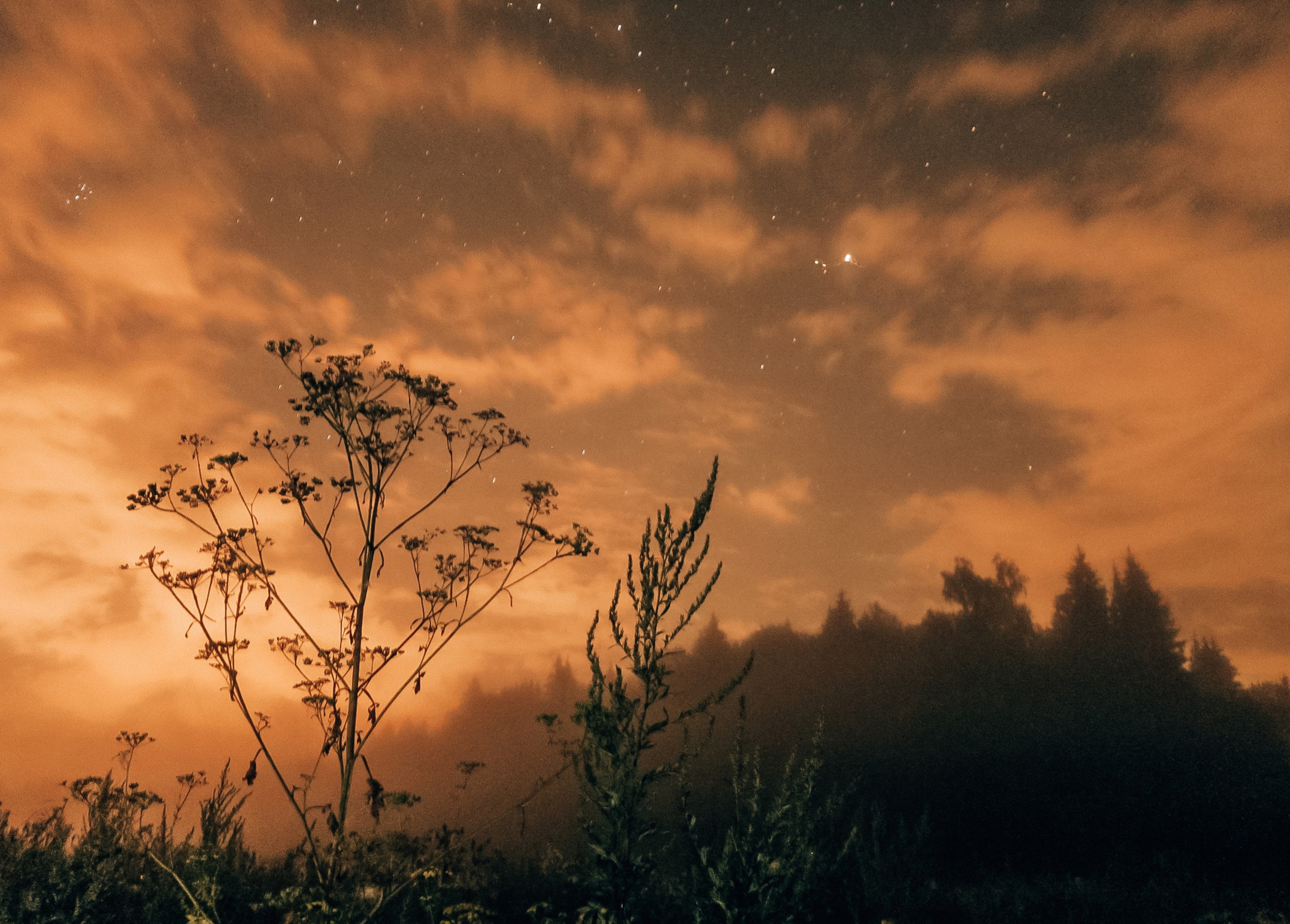 Путешествия. Портретный фотограф в Москве Эмиль Халиков