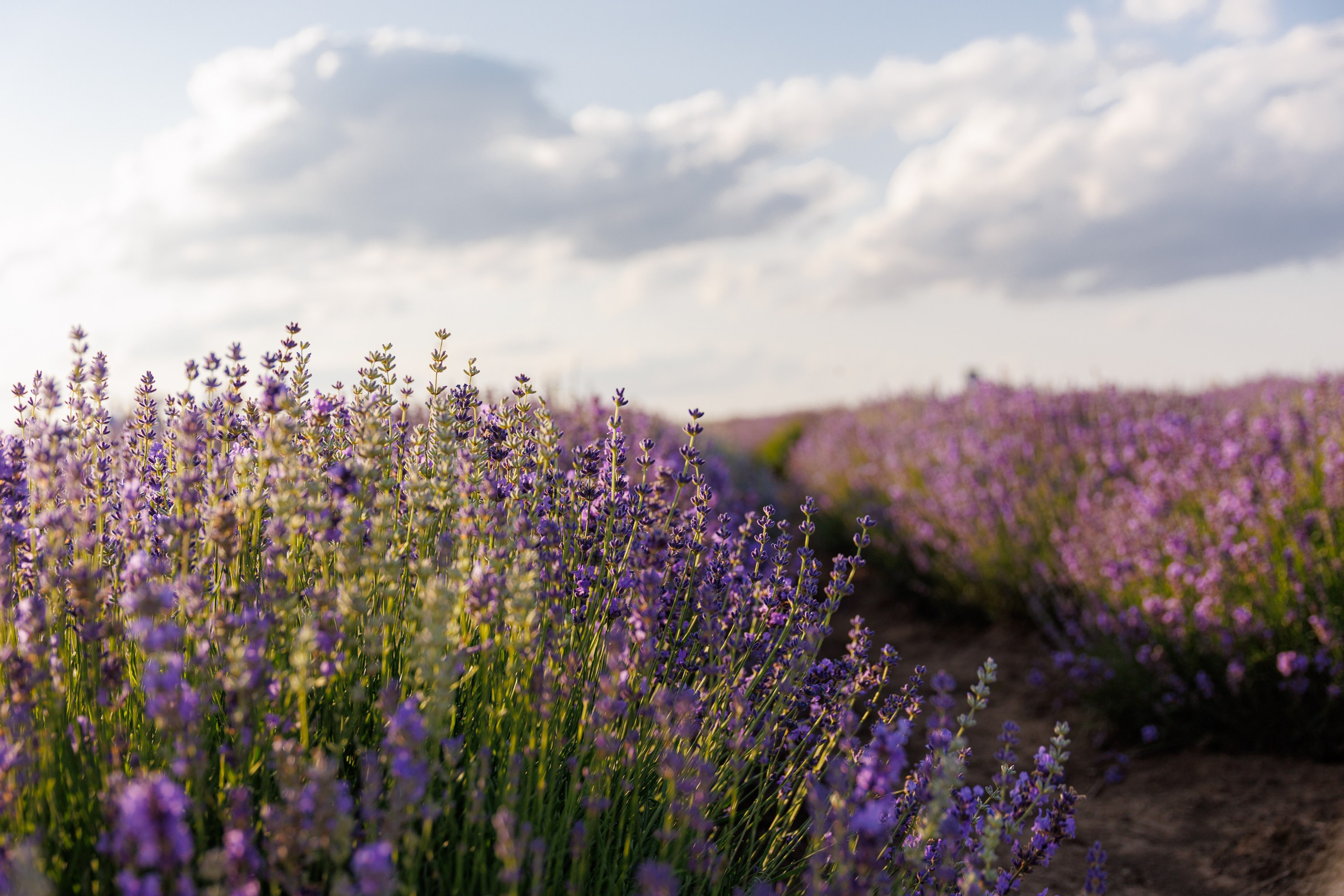 Путешествия. Фотограф в Москве Повеквечных Софья