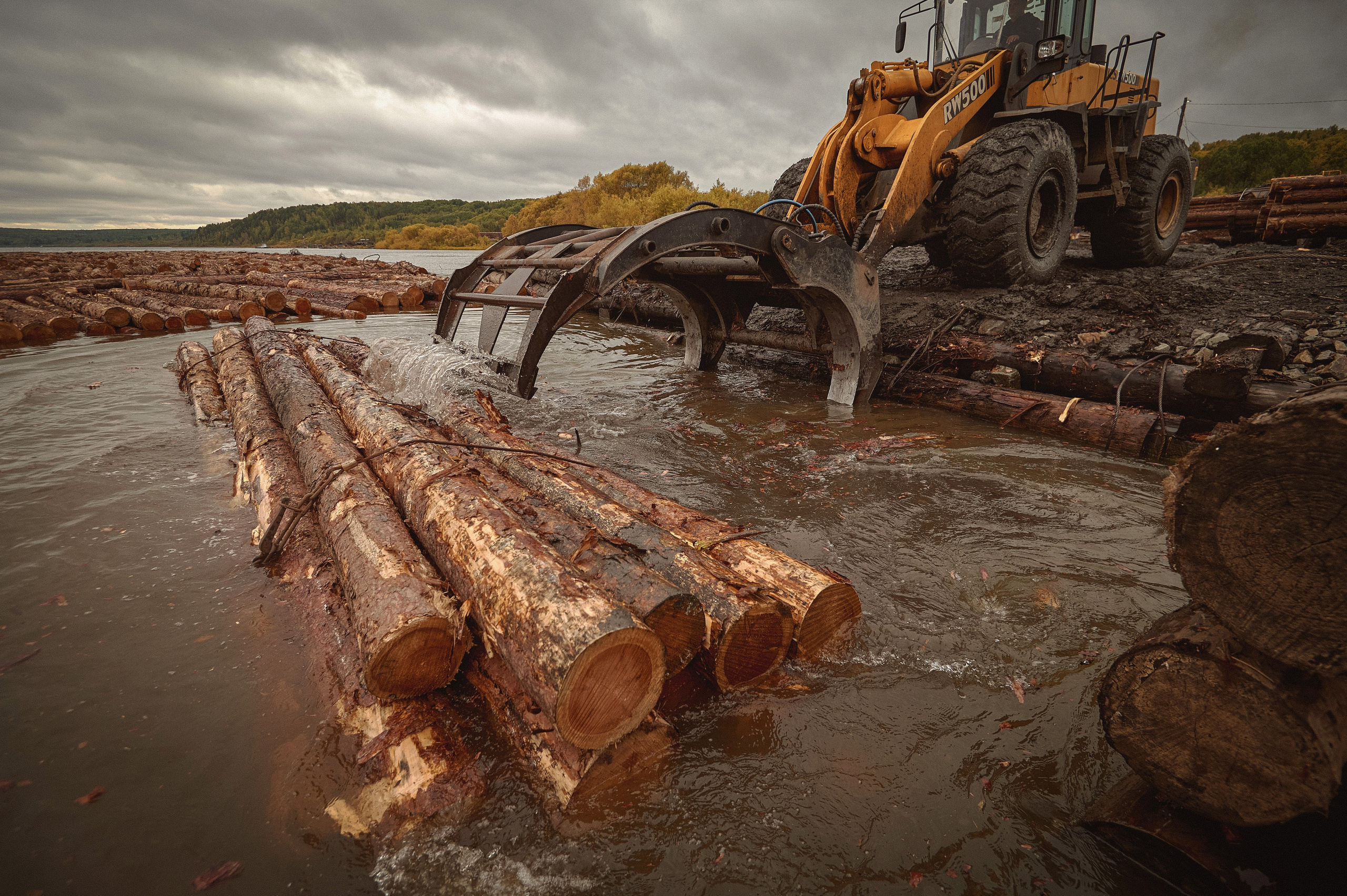 Лесозаготовка г. Мотыгино. Фотограф Яковлев Роман — Красноярск