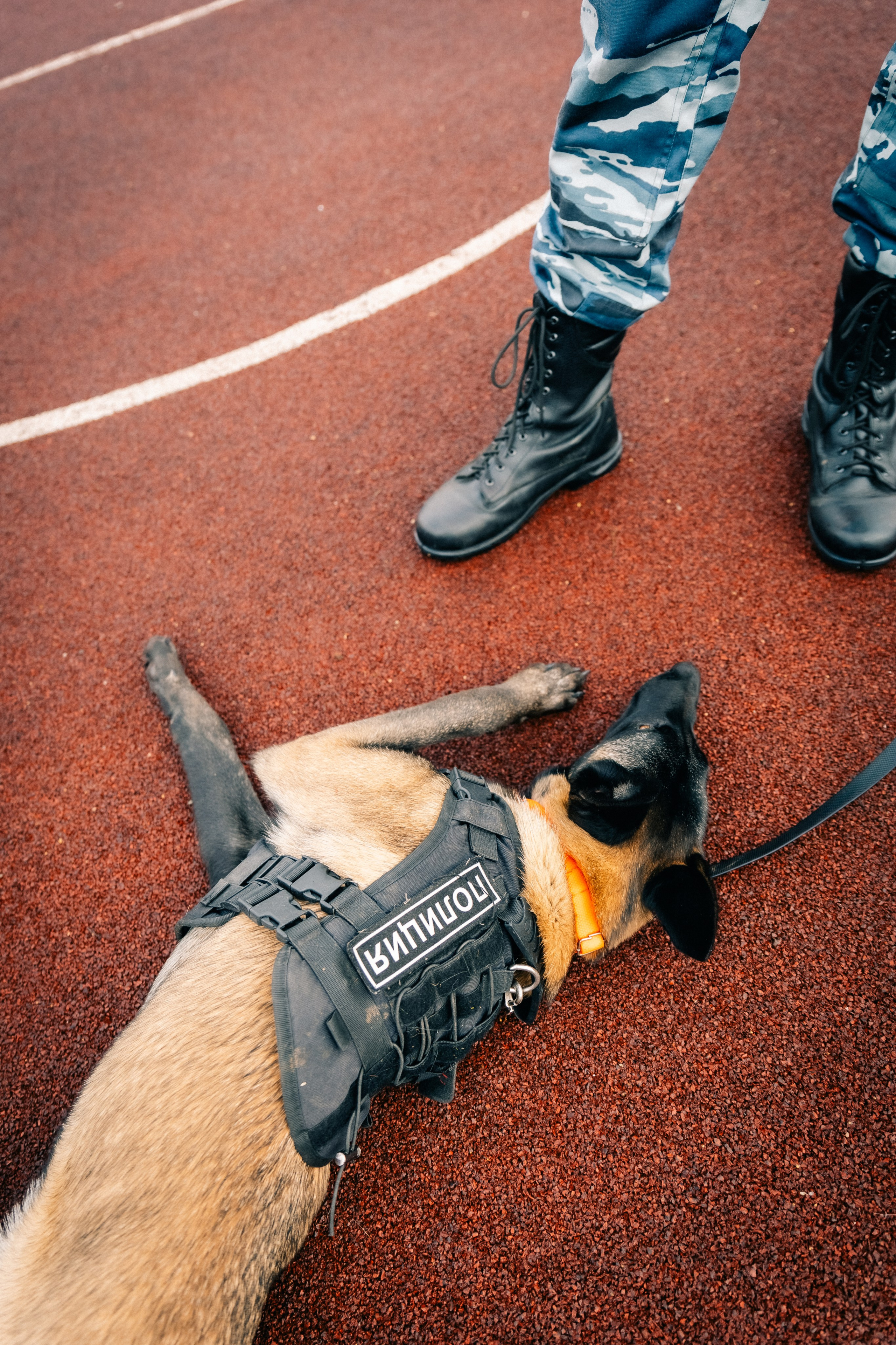 Проект для ГУ МВД г. Москва. Фотограф в Москве и МО Влада Обласова