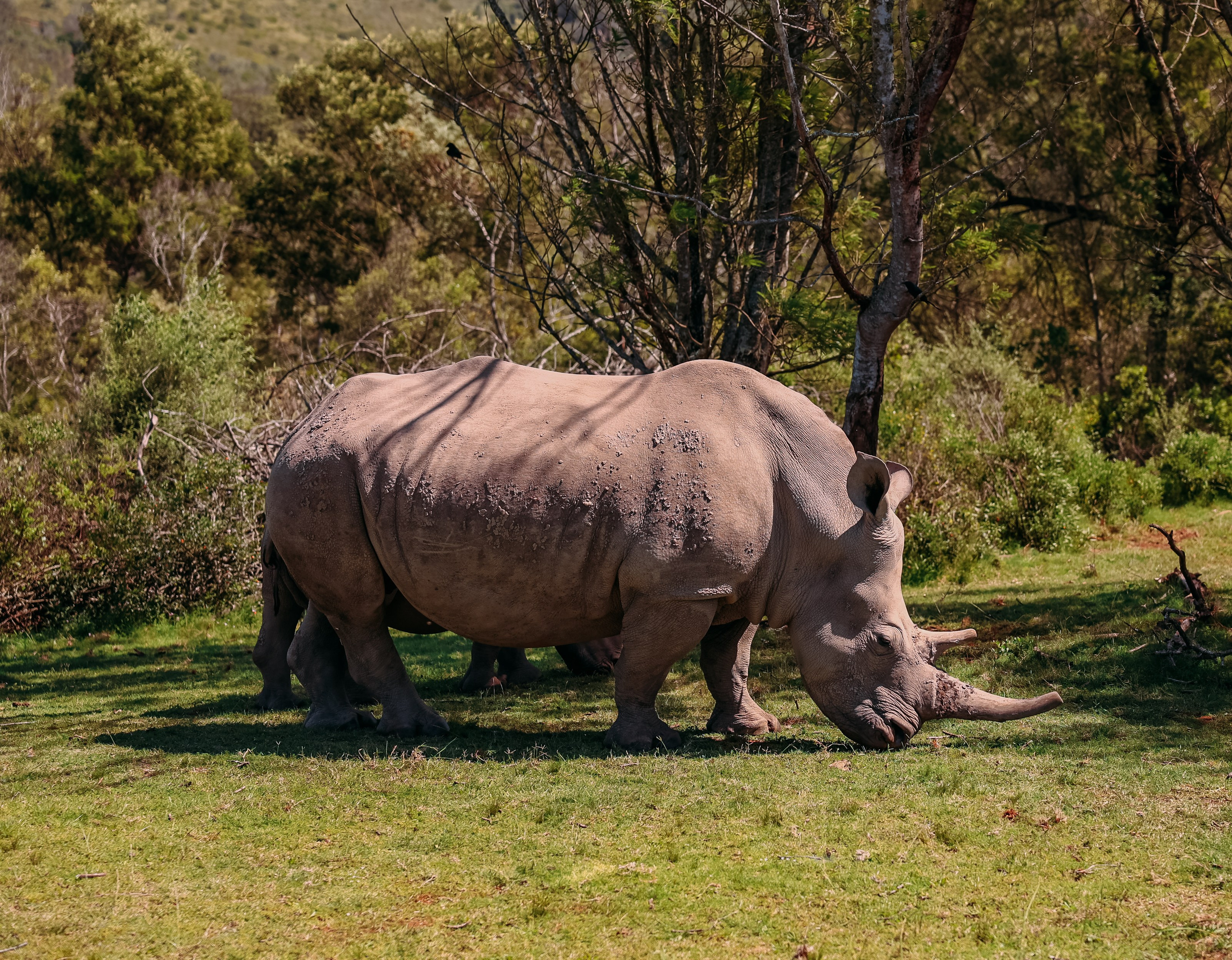 ФОТО ТУРЫ ПО МИРУ. Фотограф Марина Аблаева-Кожедуб
