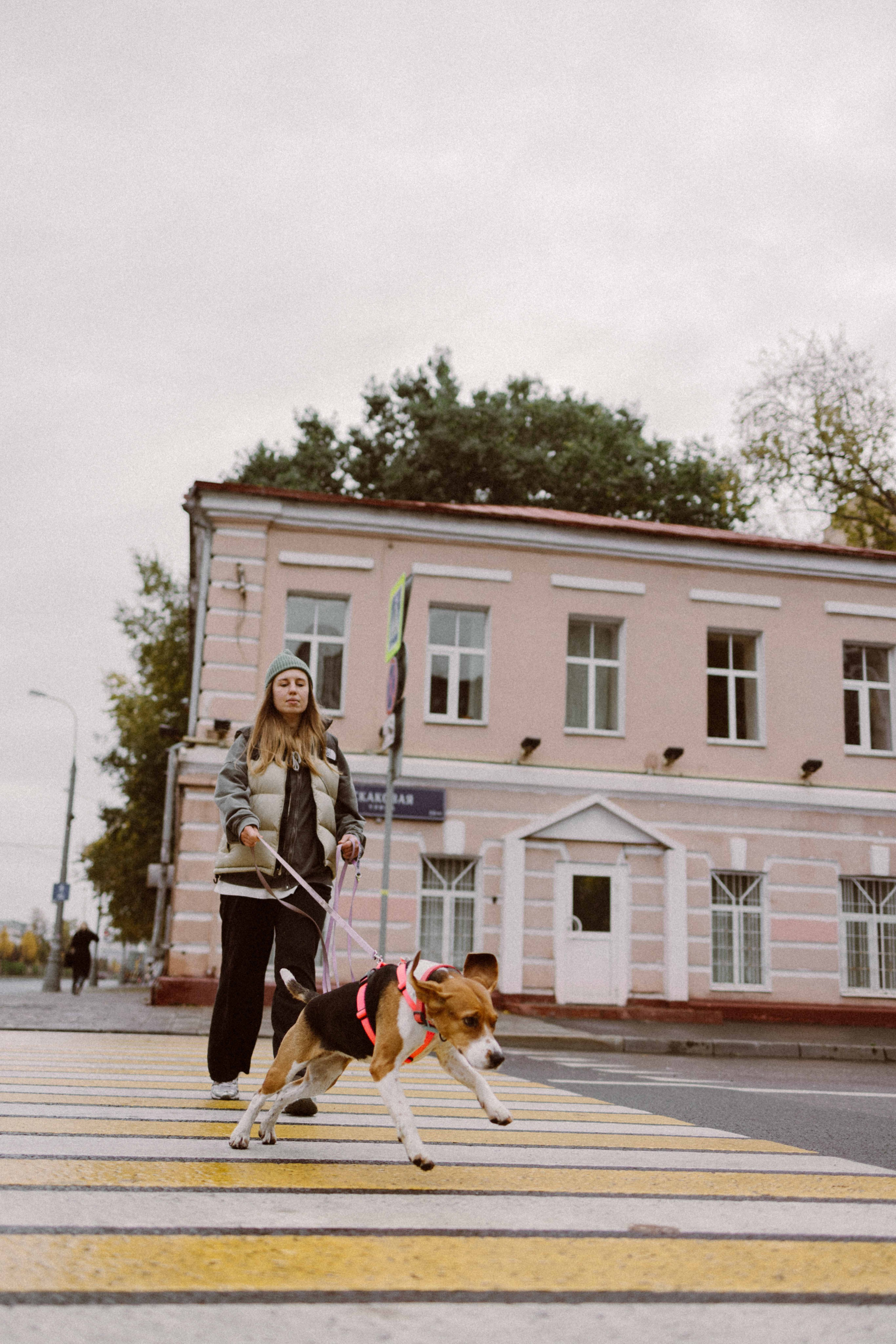 Света и Ива. Фотограф-анималист в Москве Лера Черноног