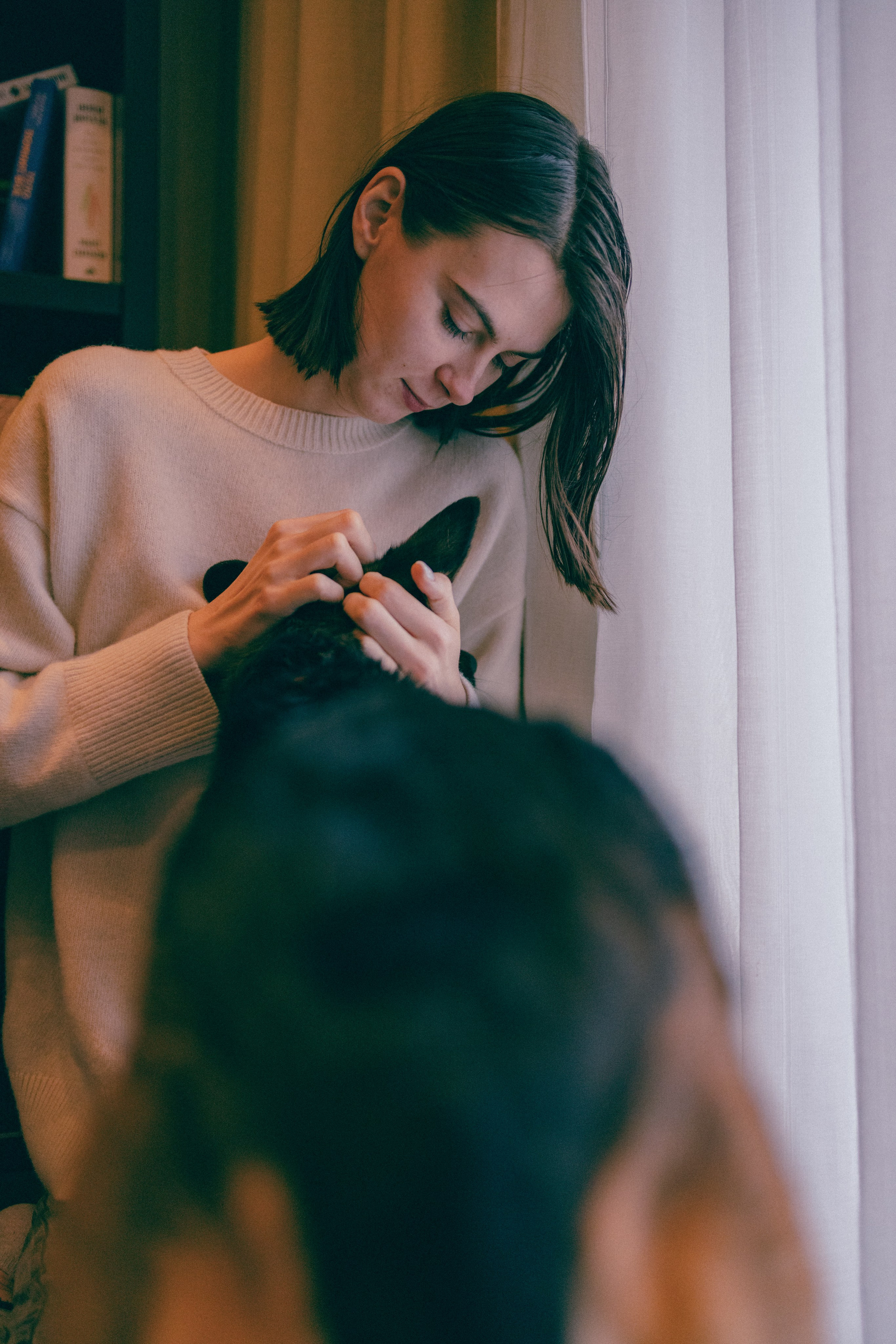 Ника, Матиша и Герда. Фотограф-анималист в Москве Лера Черноног