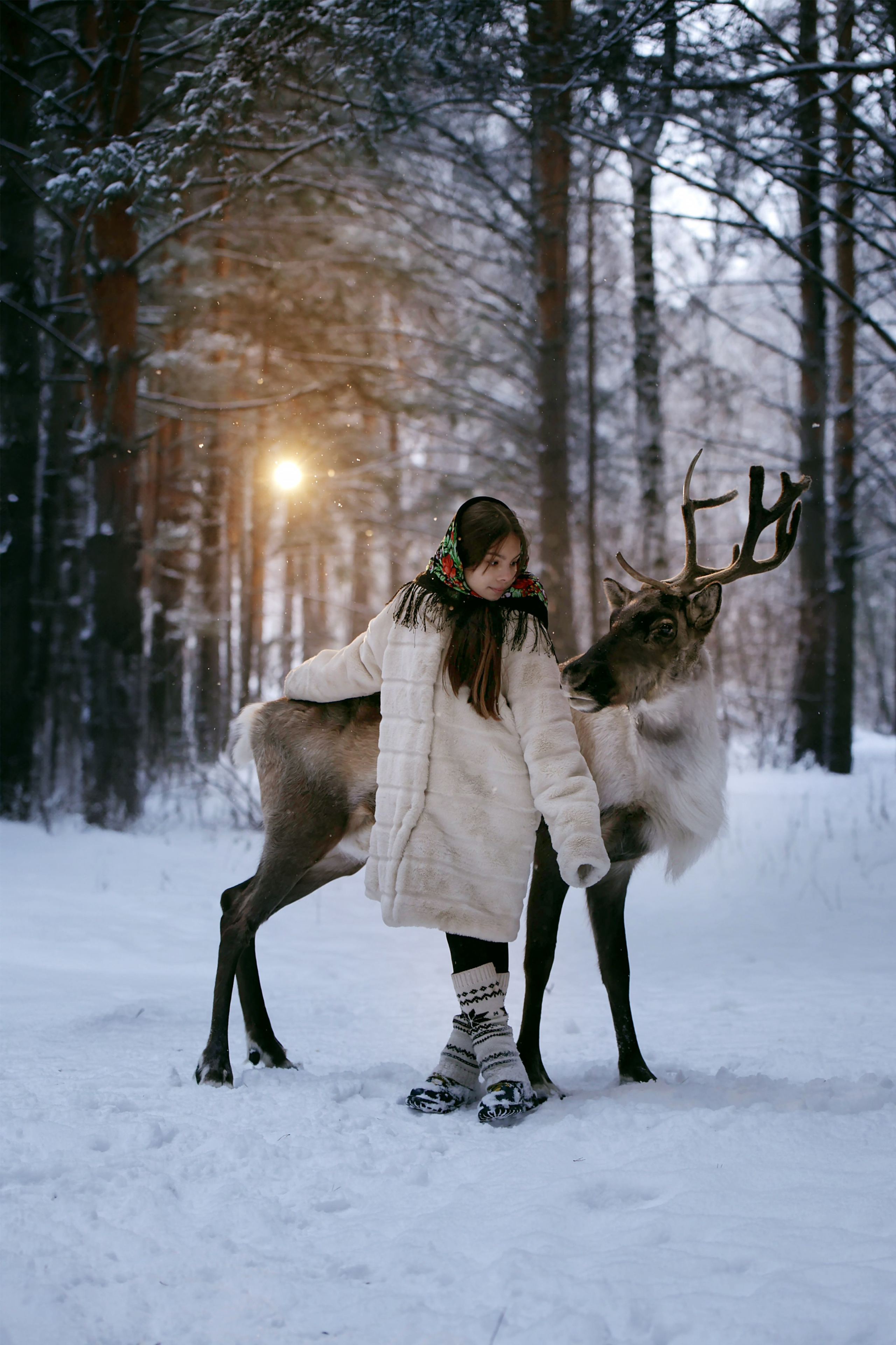 Олениха Нося 2024. Конный фотограф в Красноярске — Любовь Похабова