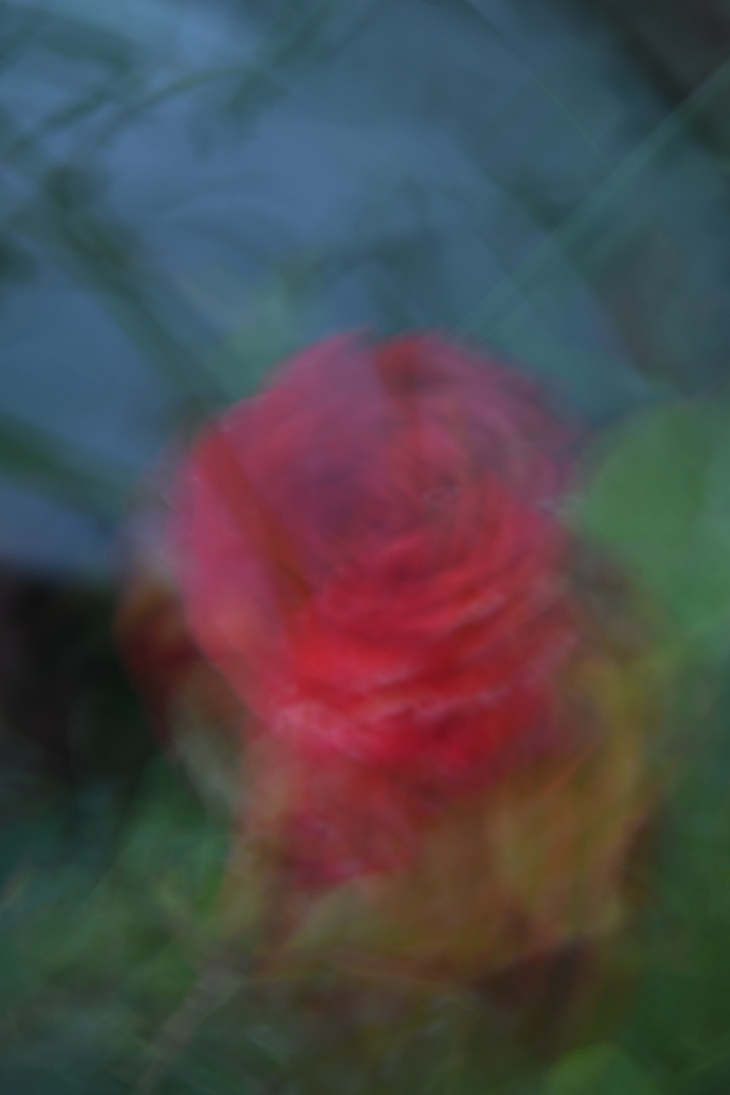 Art. Арт — фотограф Евгений Наймушин Новокузнецк