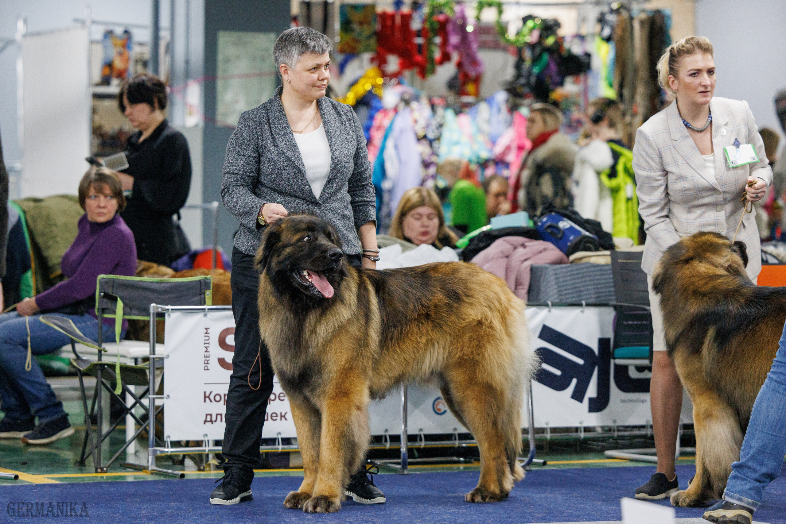 Сфера 28.01. и 4.02.2024. Фотограф-анималист Юлия Германика