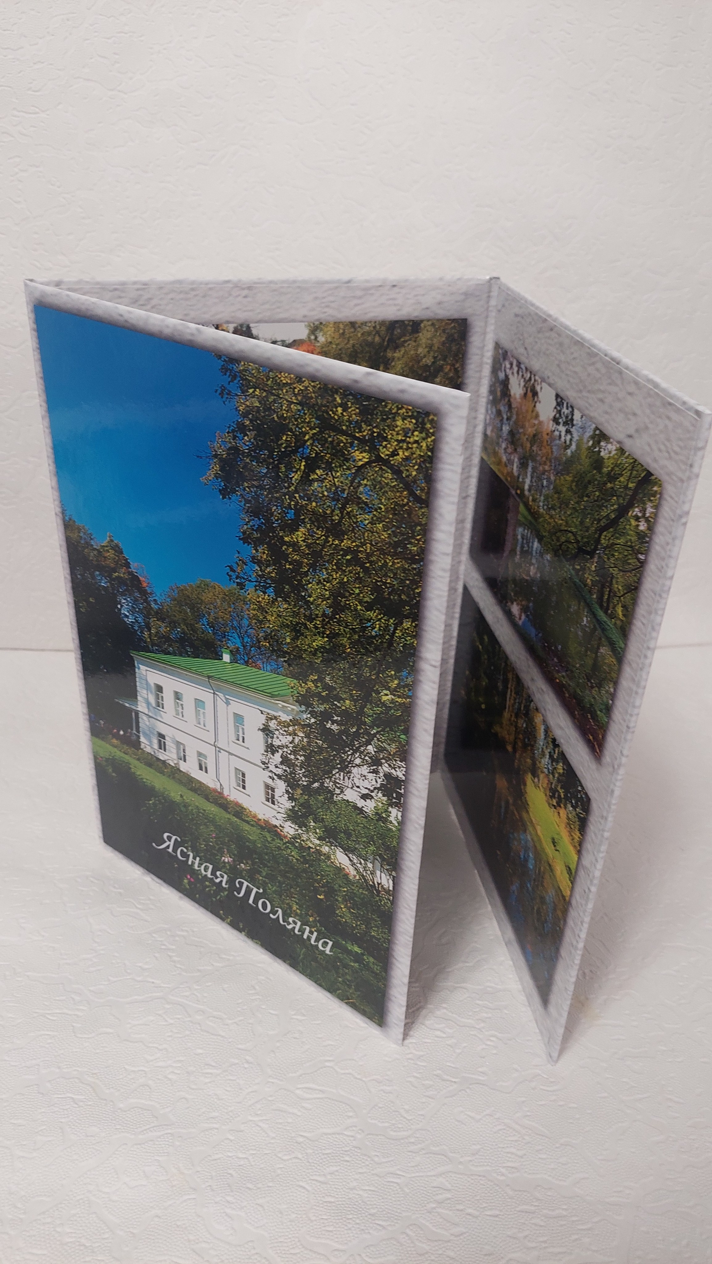 Трюмо. Ясная Поляна. Fotounata.ru